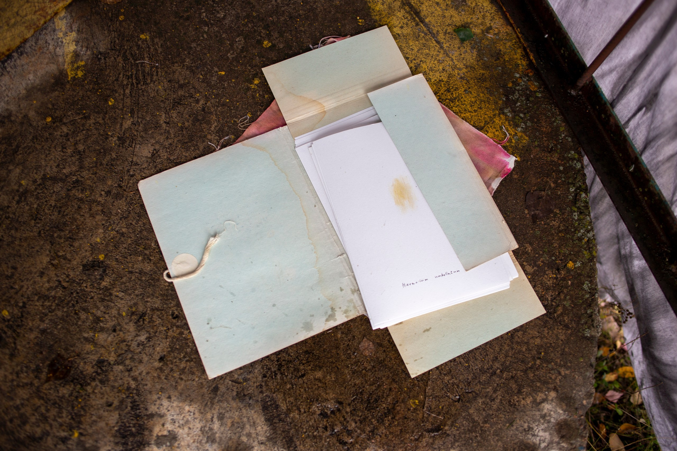 Сумерки речи Михаил Курганов 28.10.2023