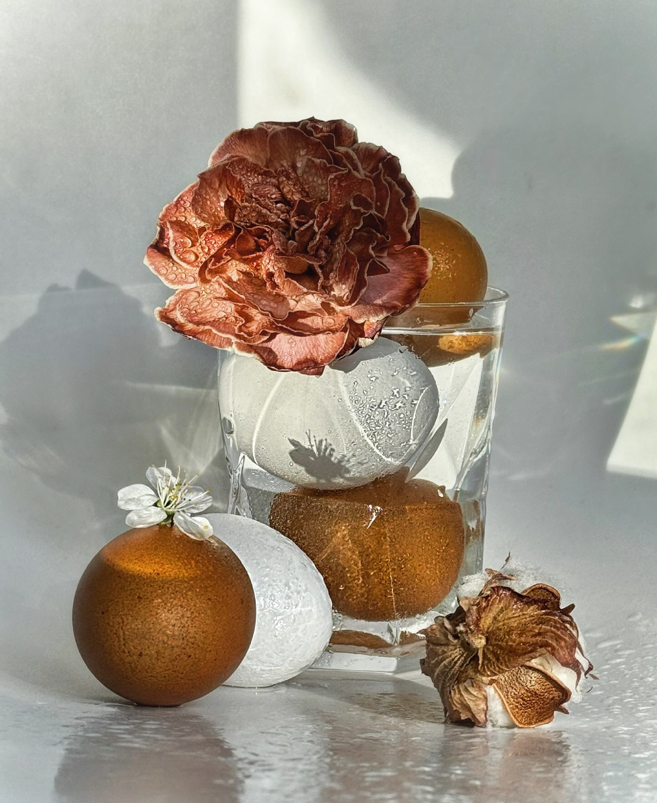 ✿ Primavera / Still life SHOP. Elena Anosova is an award-winning visual artist