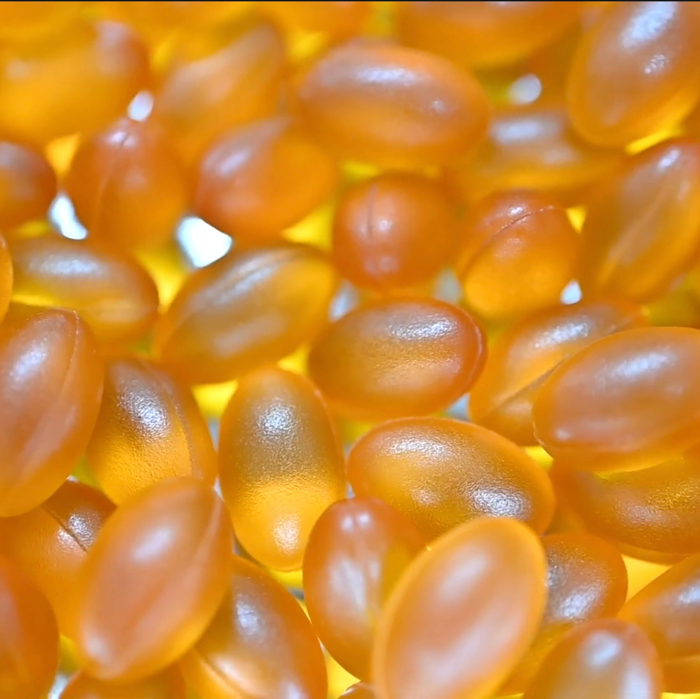 Фотограф и видеограф в Сочи, Краснодаре. Reels, портреты, события