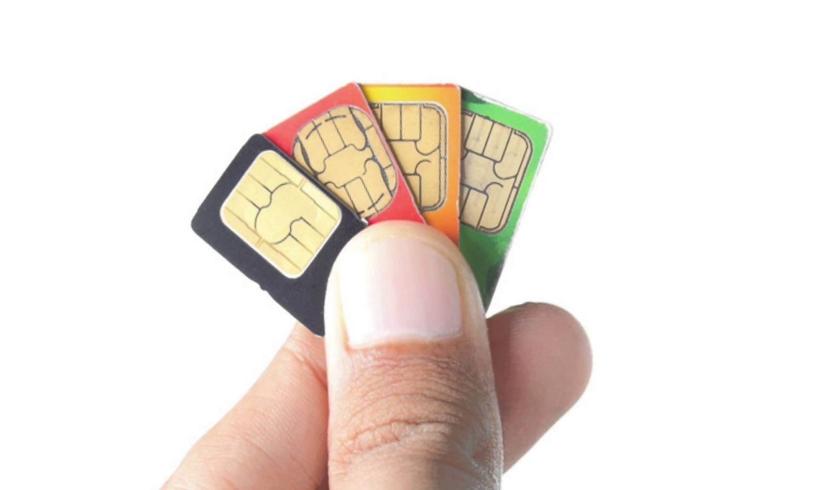 Вопросы. Экскурсии и туры по Алматы