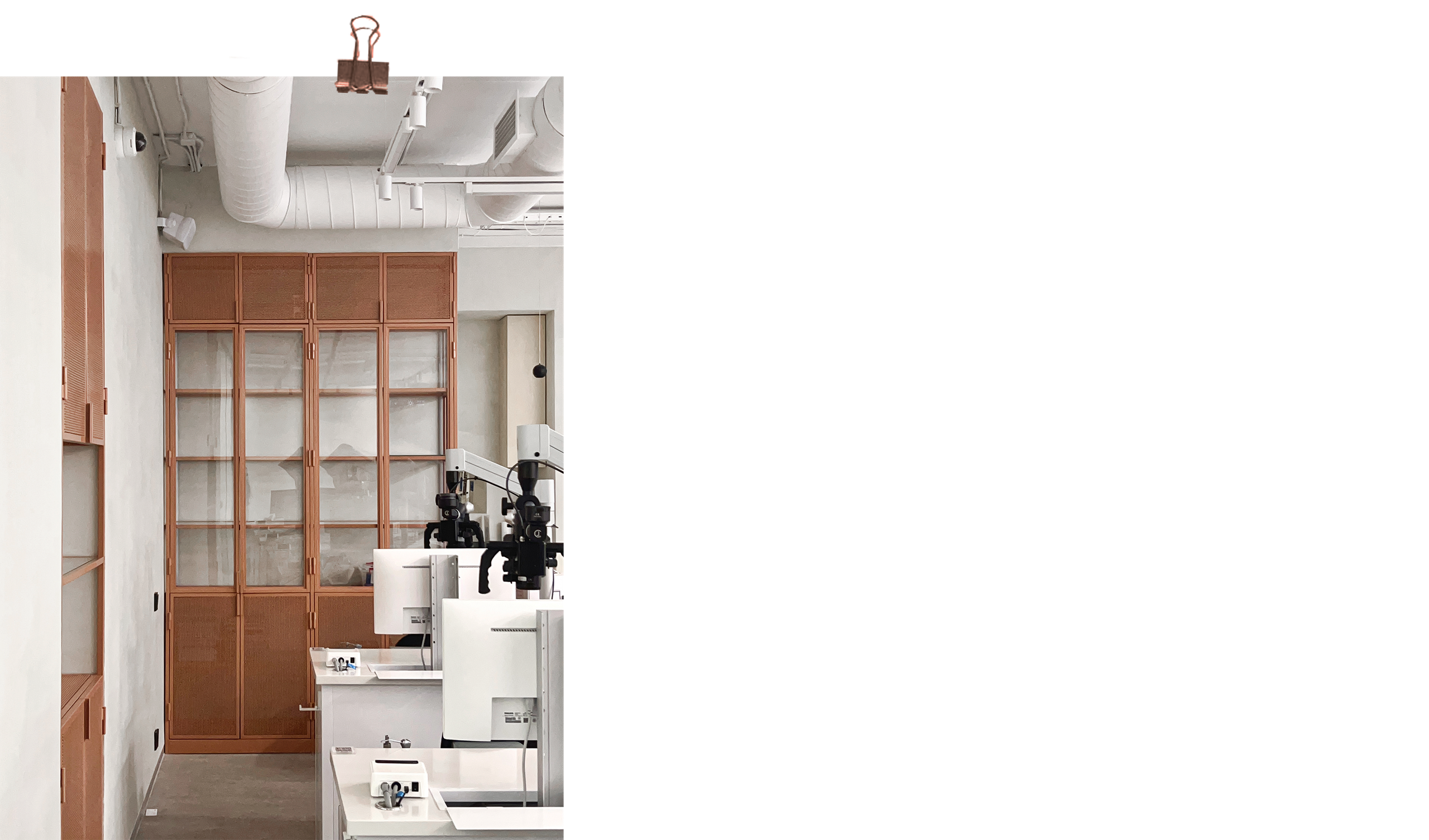 Dentalworkshop SPB