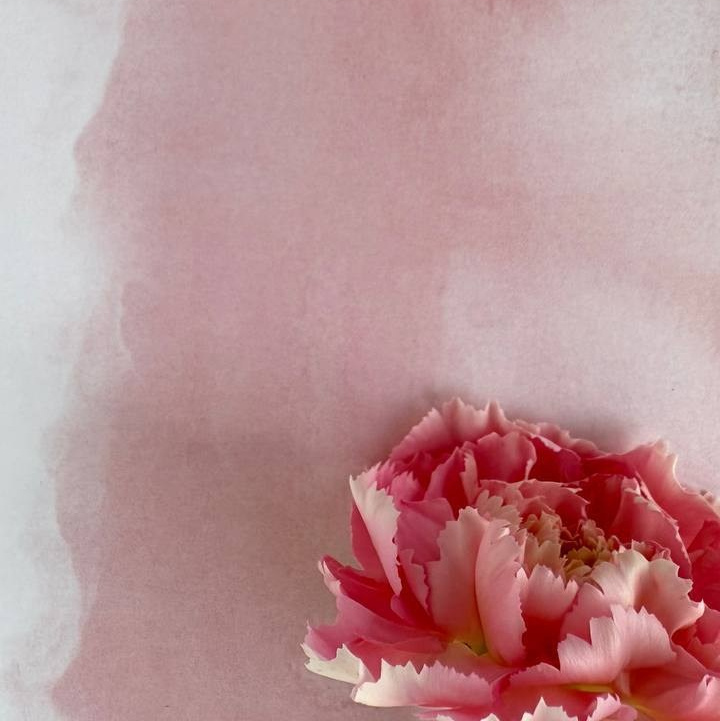 Мобильная фотография. Анна Чугунова