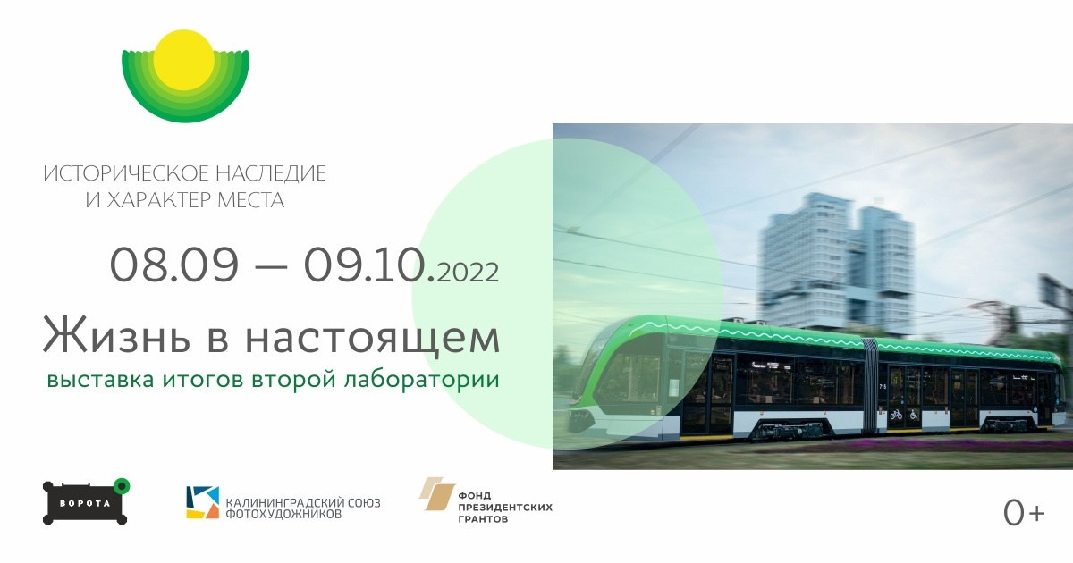 Выставки. Михаил Барановский