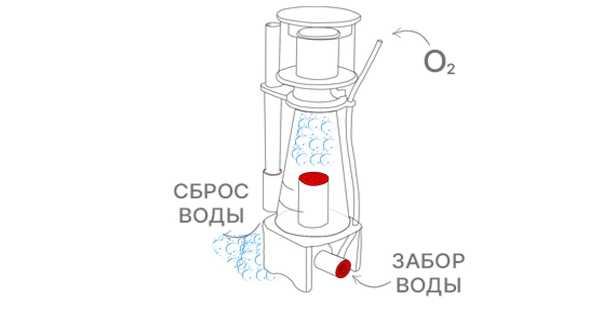 Флотатор в морском аквариуме. Home