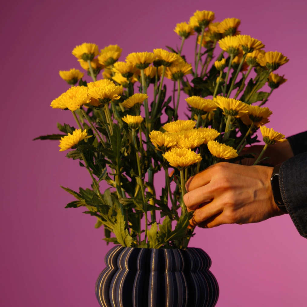 Портфолио. Видеосъемка в Красноярске