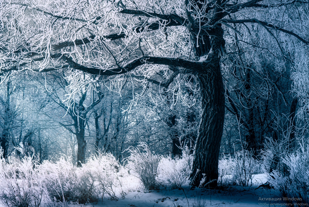Тестовая публикация. Пейзажный фотограф Руслан Лукманов