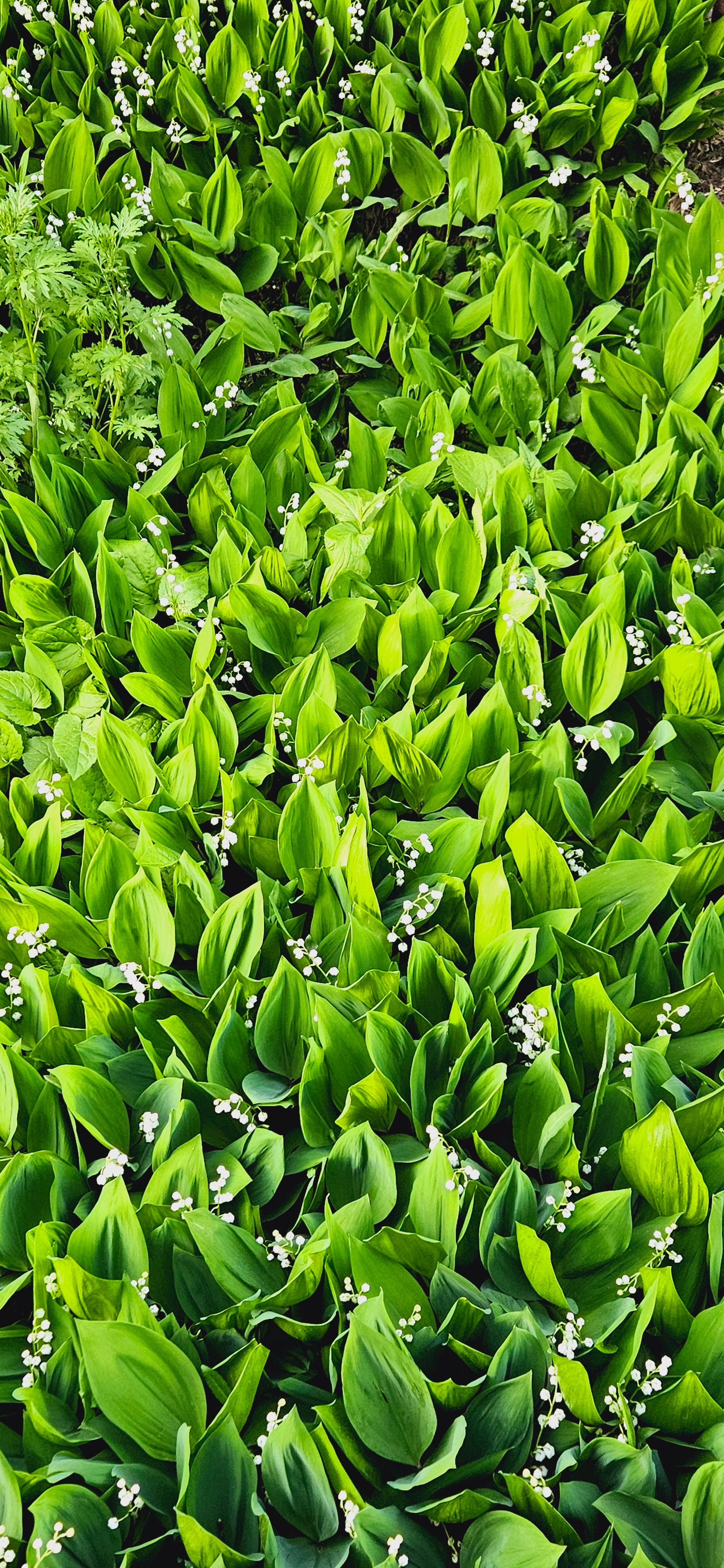 Карпенко Светлана. ARTEXPOPHOTO