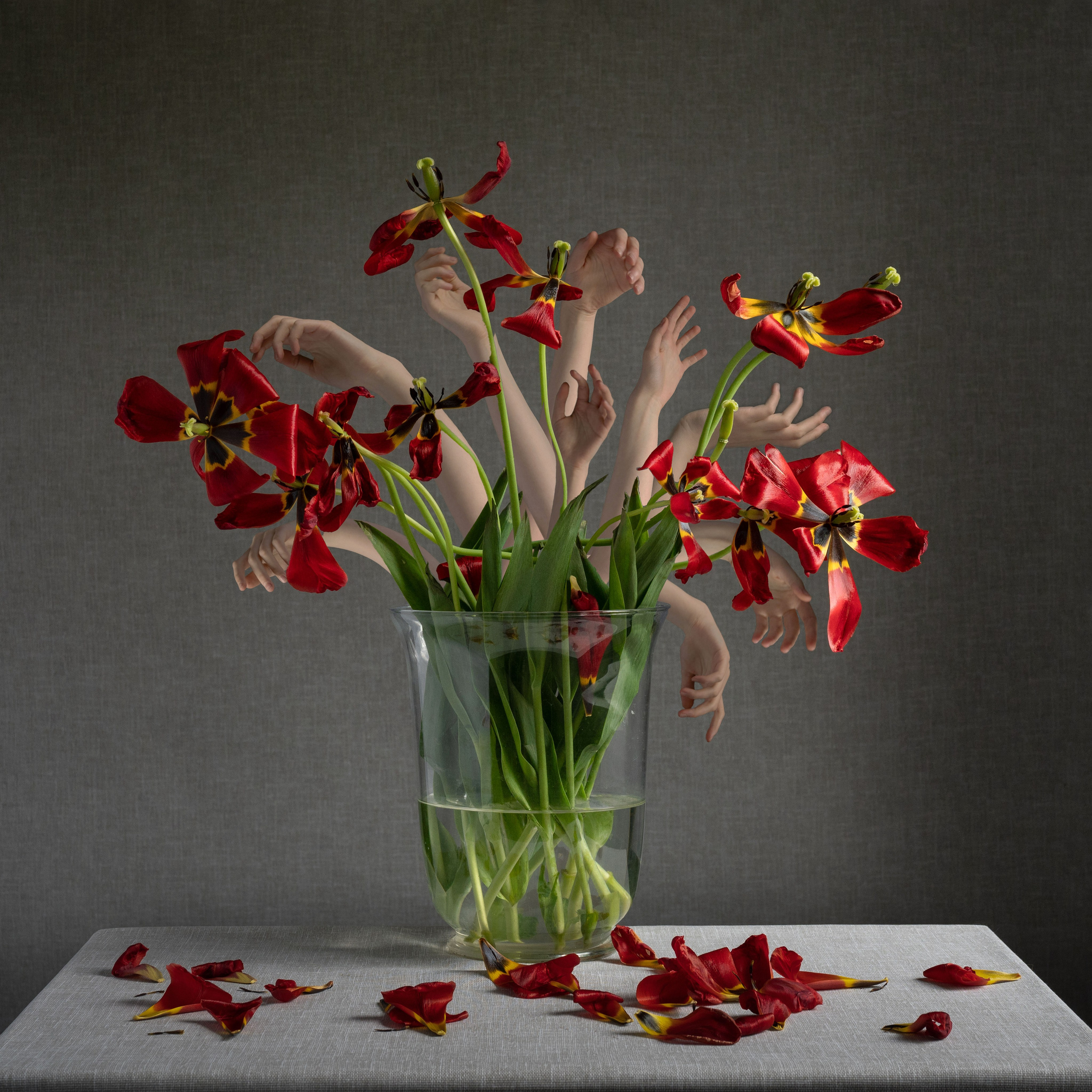 Авторские принты. Анна Новосельцева. Индивидуальные фотосессии в Москве и М.О