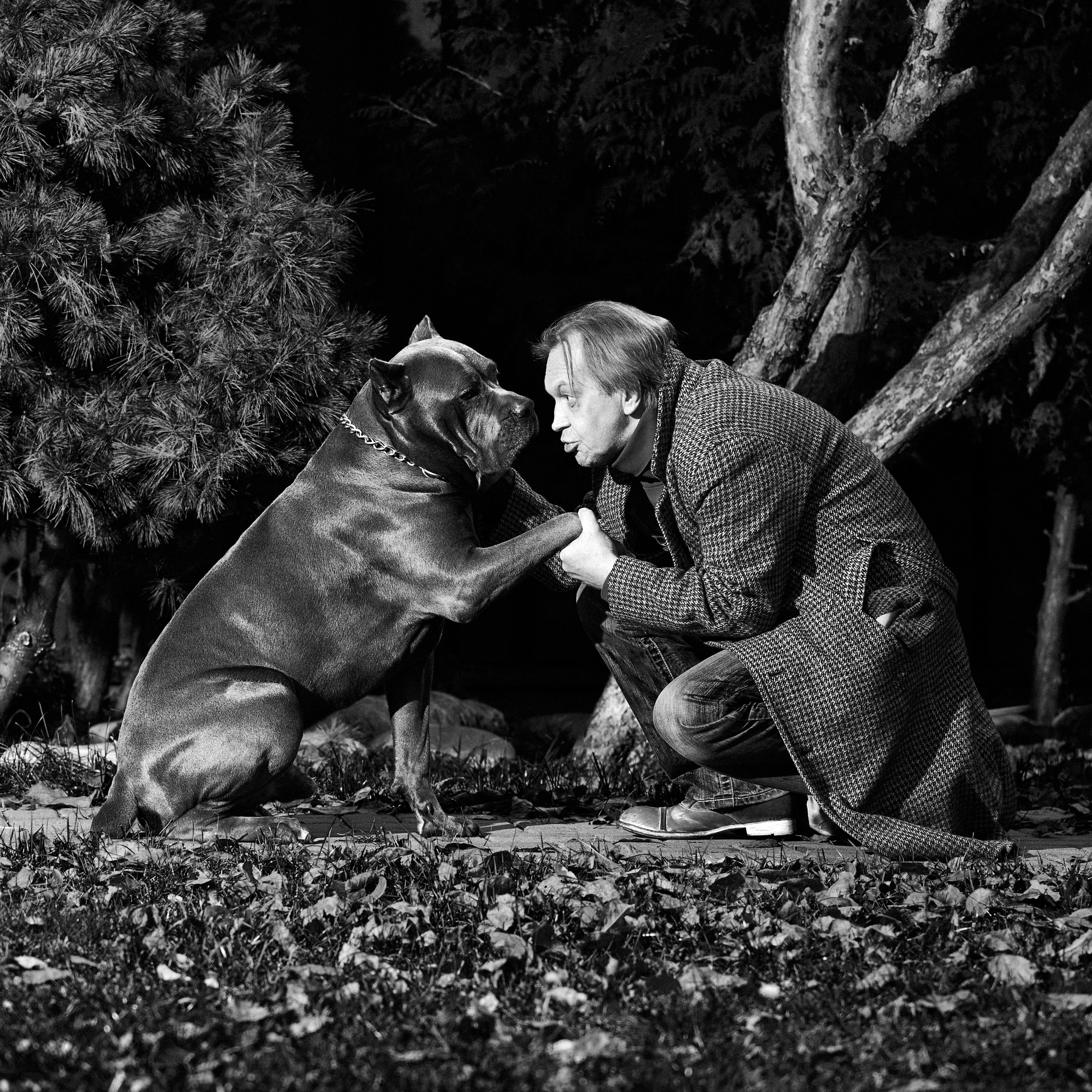 Выставка в Галерее Классической фотографии «У любви четыре лапы». Фотограф Михаил Стенин
