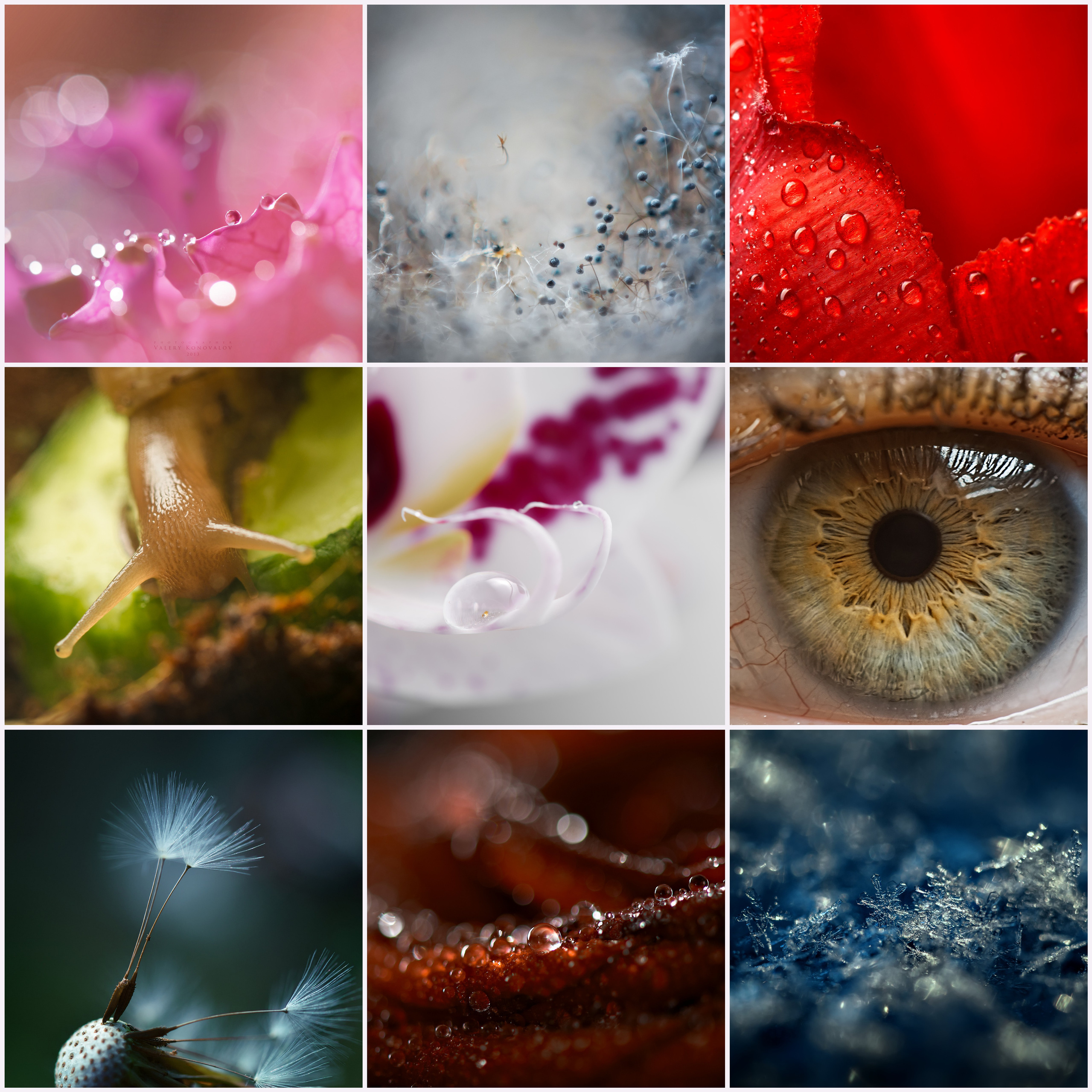 Фотография — это ваш чудесный мир!