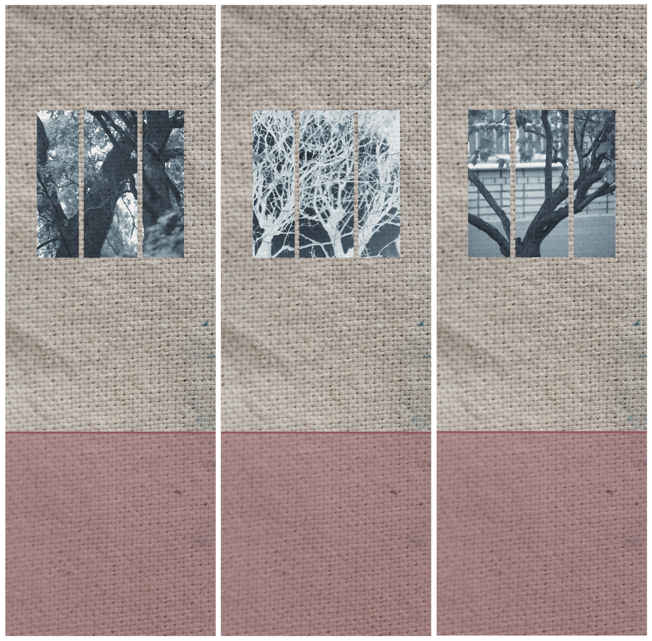 Наталья Алаторцева