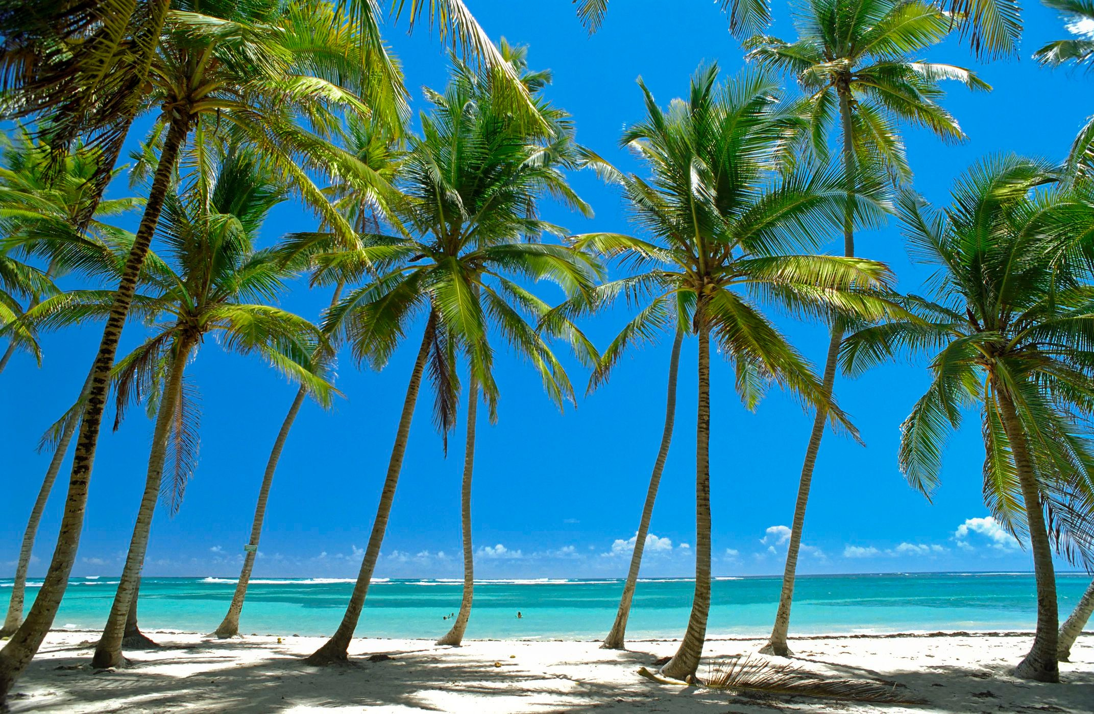 Круизы. Happy Sail Круизы на яхте с Михаилом Текучевым