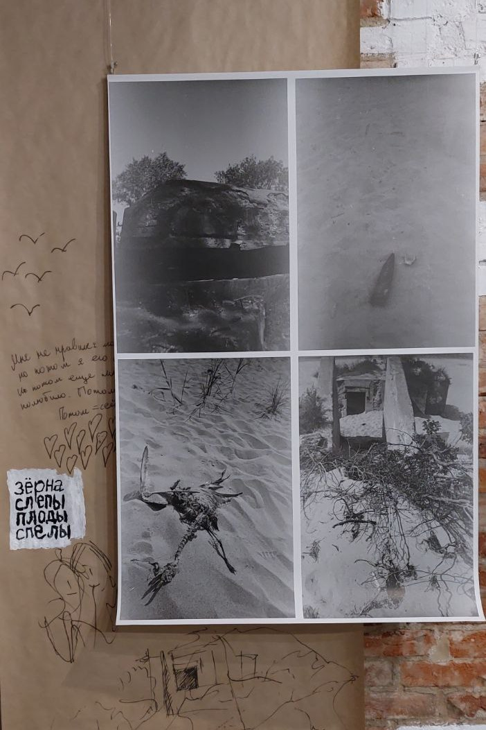 Персональная выставка «Некрасивая русалочка» в Калининграде. Julia Gorbunova