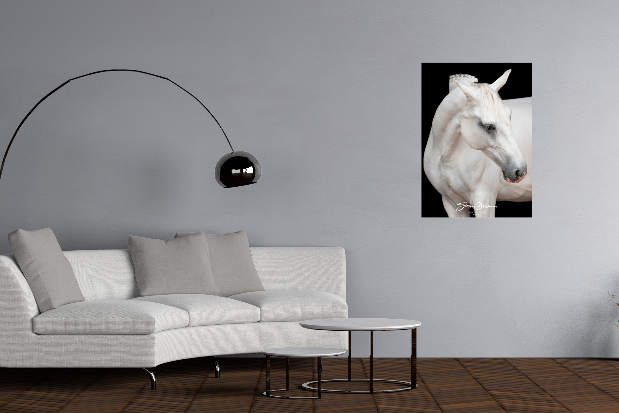 фото для интерьера, отпечаток, авторская фотография, купить отпечаток, купить фотографию, фото лошадей, фото лошади, красивые лошади, принт, цифровой отпечаток