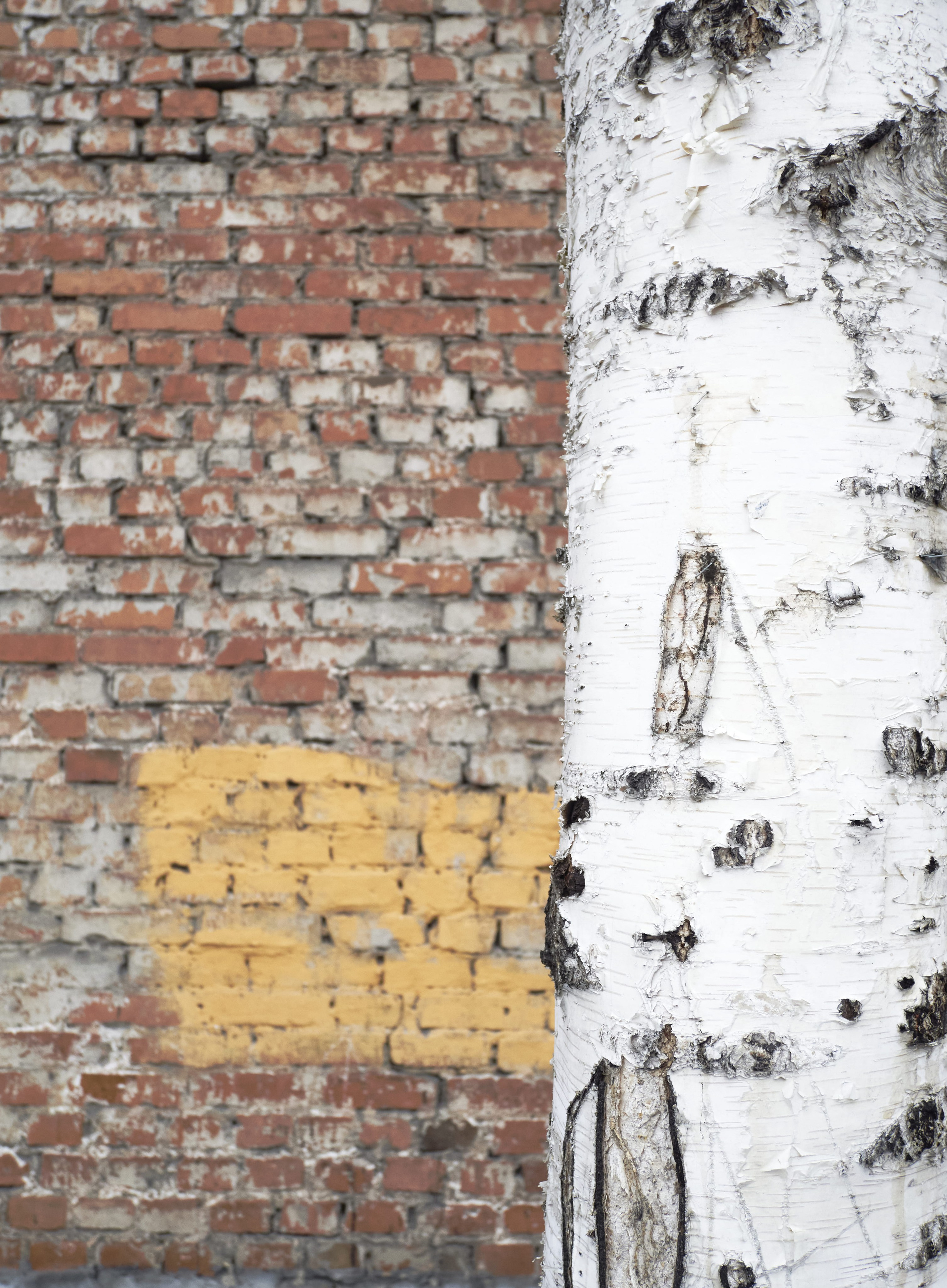 Причастность. Архив нереализованных идей