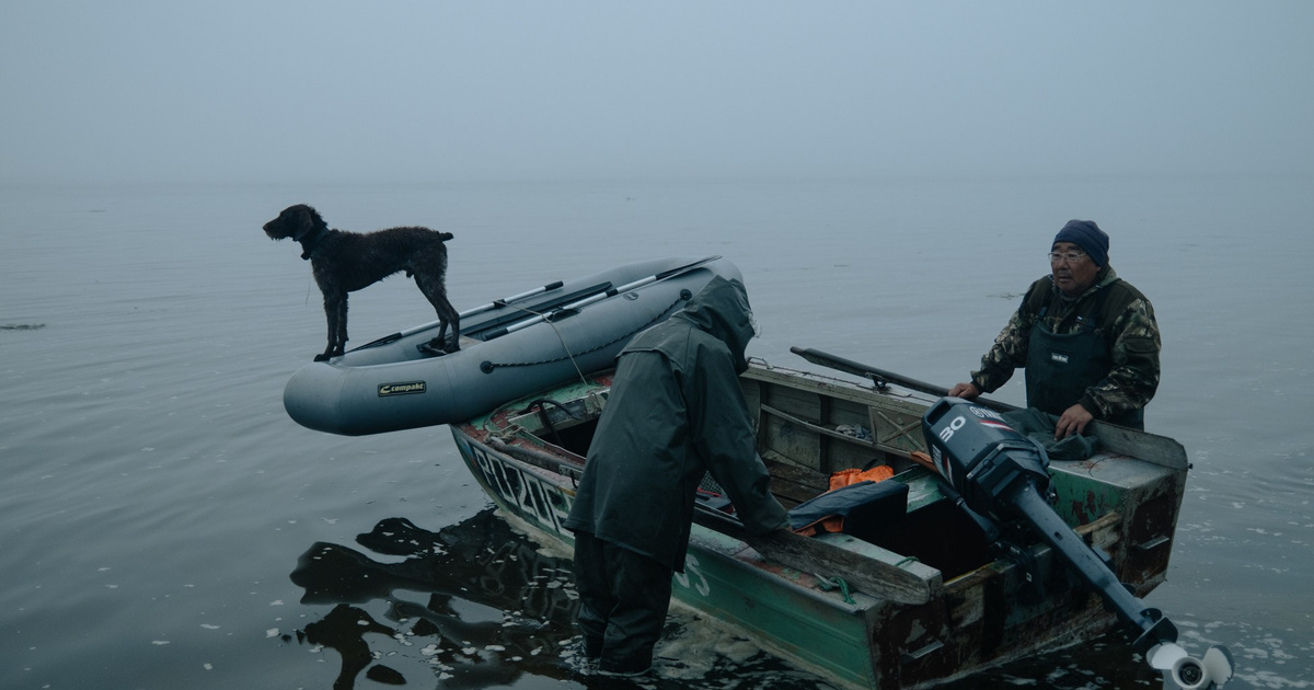 Jes Fish Island-fish. Documentary photographer from Yakutia Alexey Vasilyev