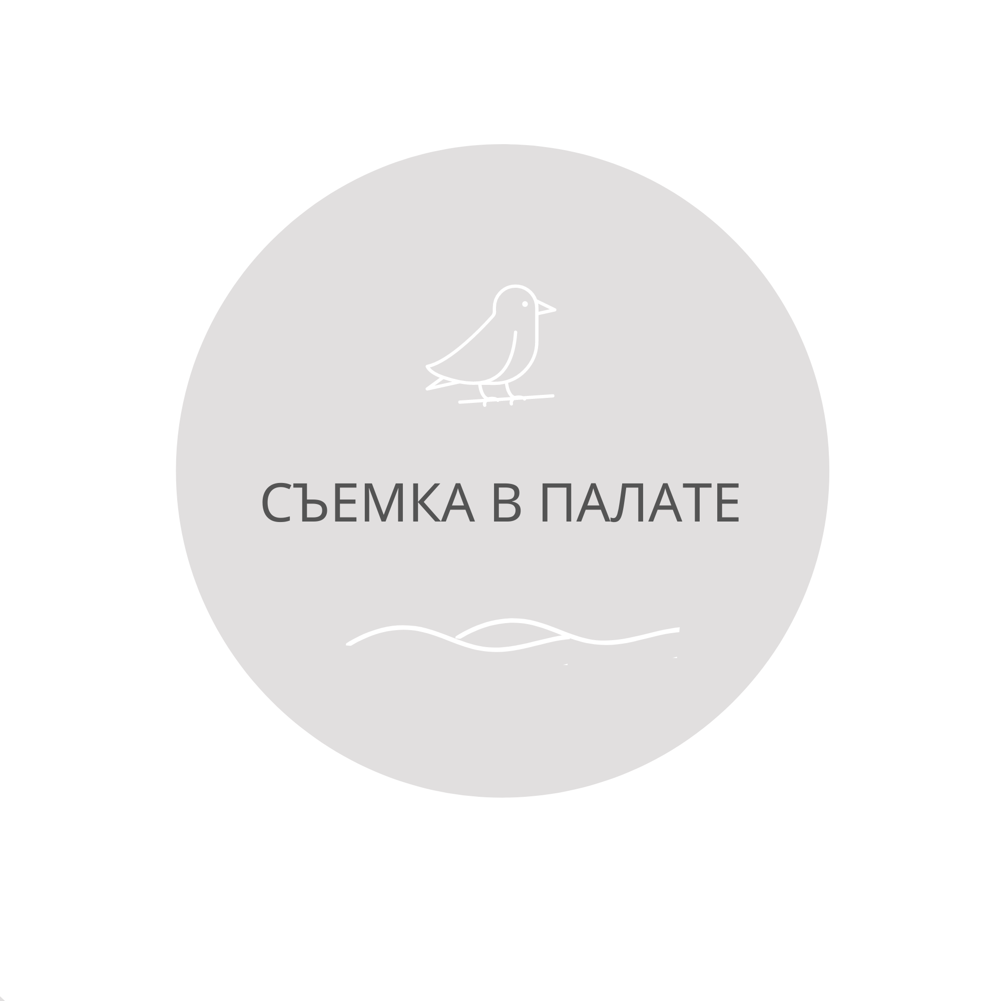 Первая фотостудия новорожденных в г. Кемерово