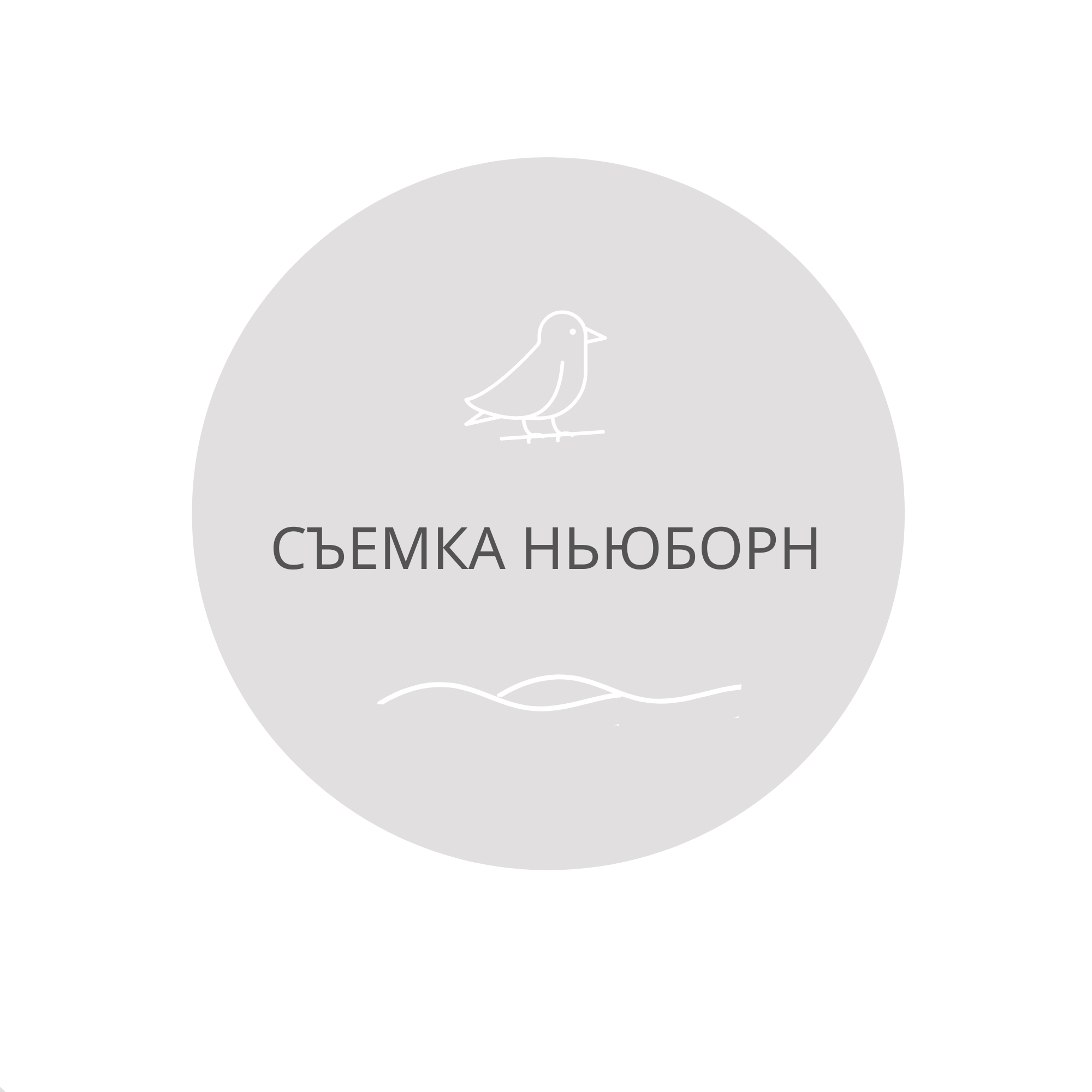 Первая фотостудия новорожденных в г. Кемерово