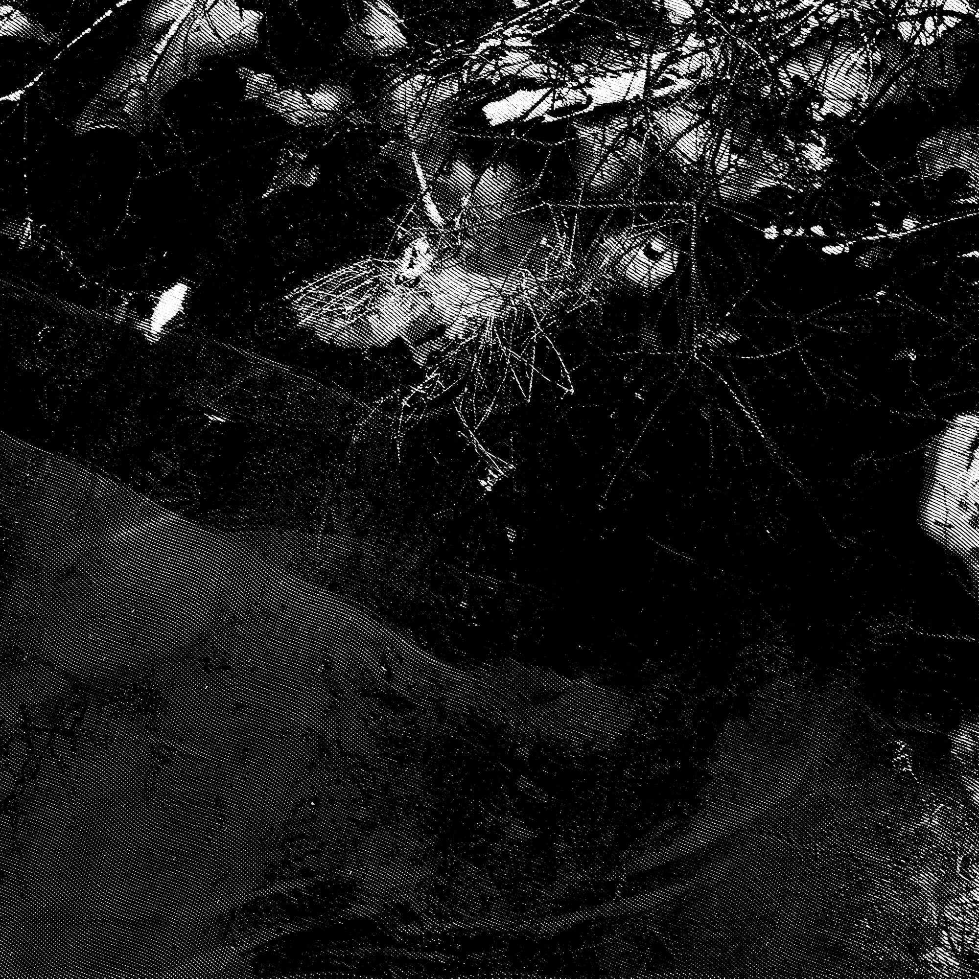 Meerjungfrau dream of tube TV No. 321024. Roman Hodirev is an esoteriologist, multidisciplinary artist, photographer and musician. Saint Petersburg, Riga