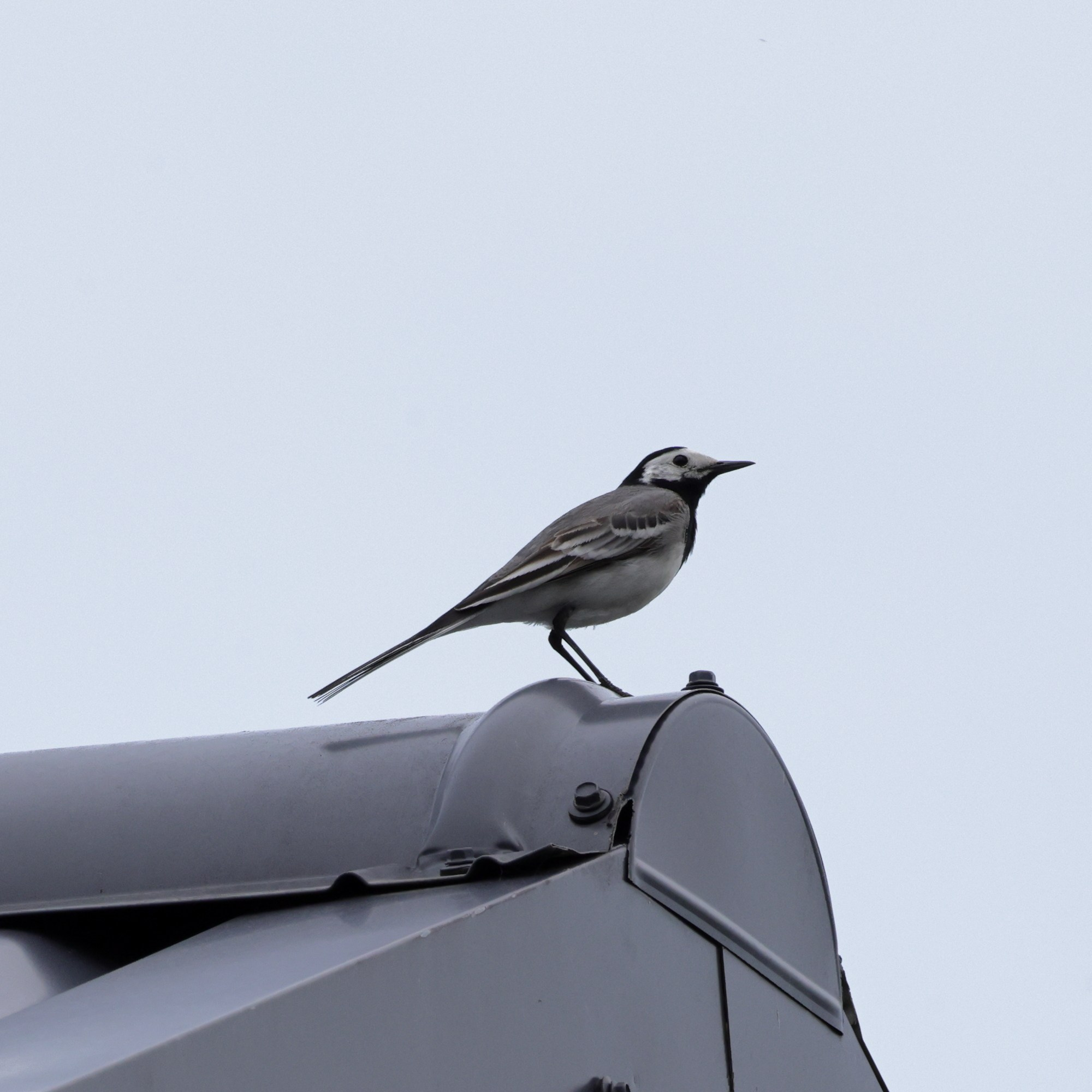 Выходные 7–8 июня