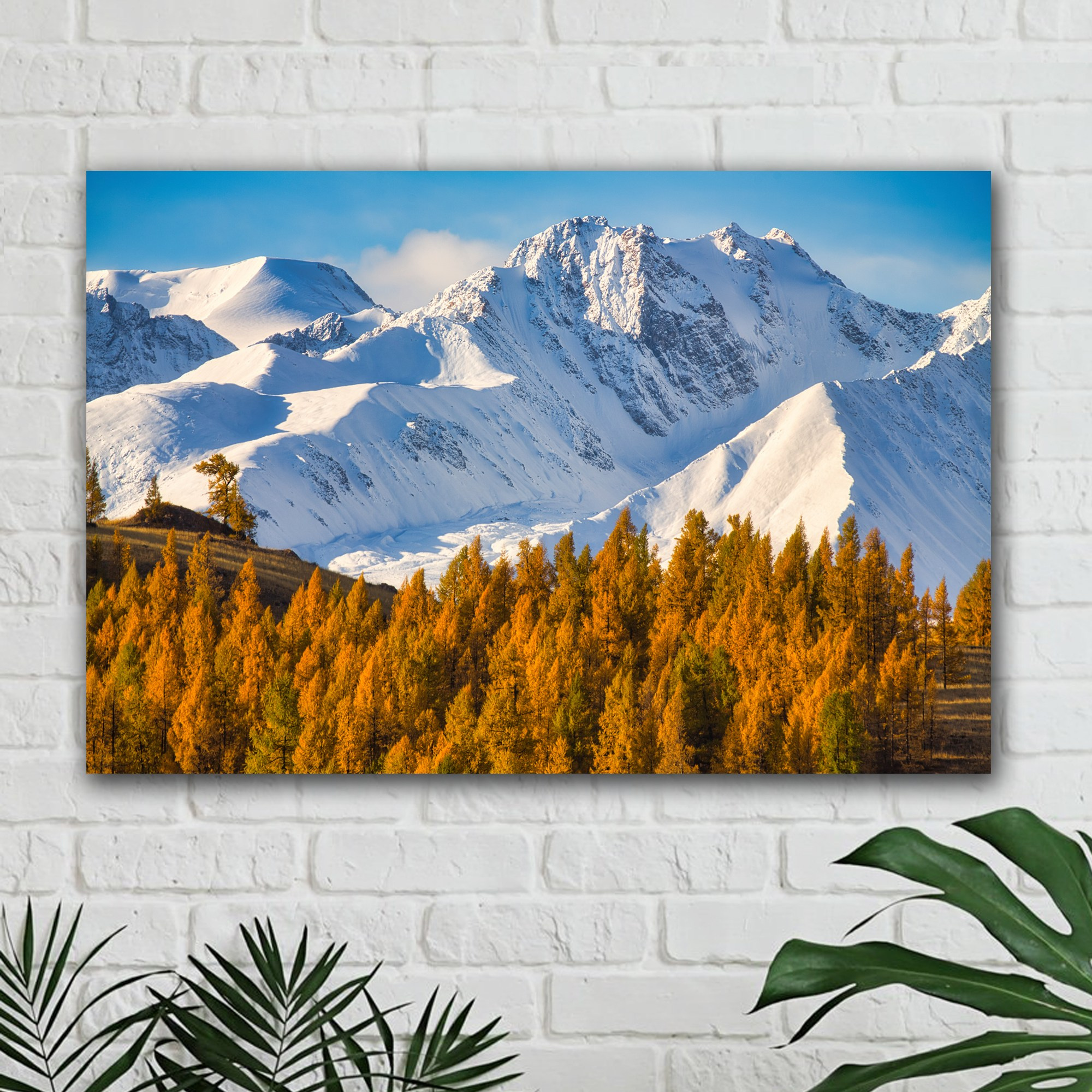 Фотокартины на заказ. Фотограф Евгений Кожевников