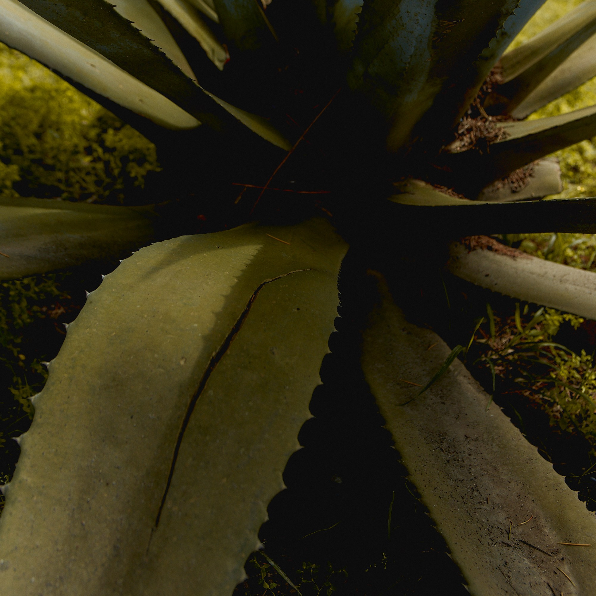 TRAVEL. EVGENYA PERESADOVA