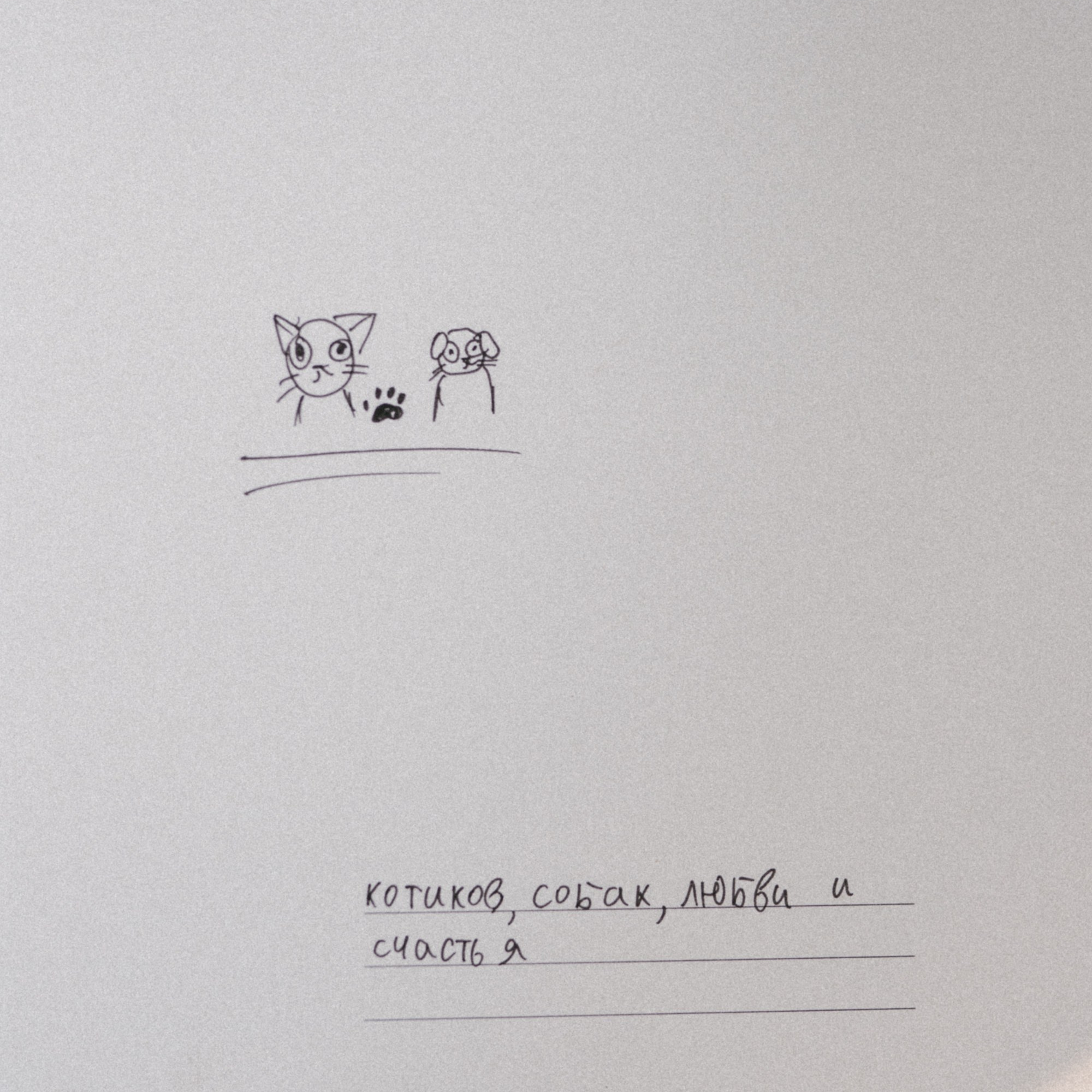 Катя Сагалаева. Свадебный фотограф Новосибирск