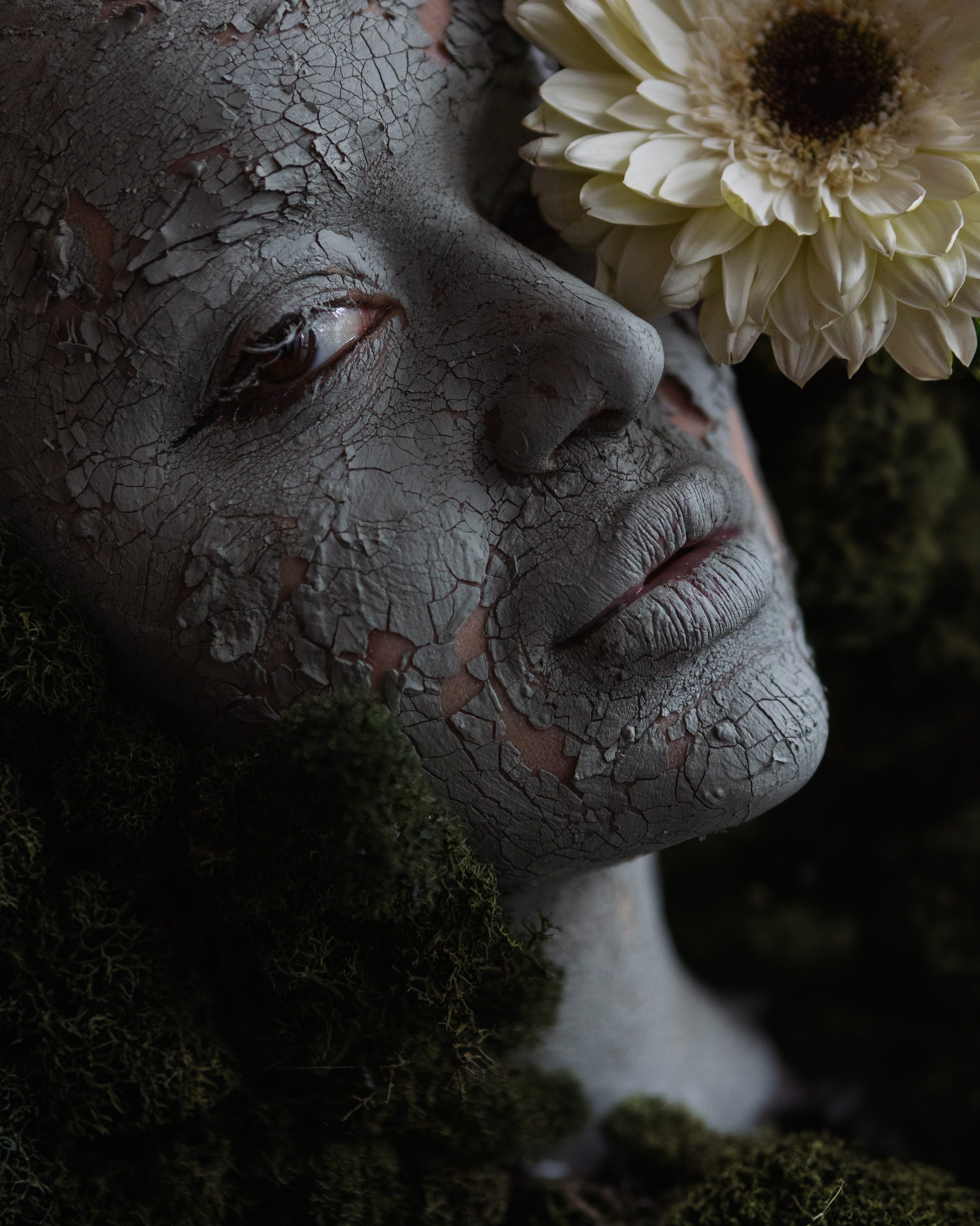 ЦЕНЫ. ARSENY TIMOSHENKO PHOTOGRAPHER