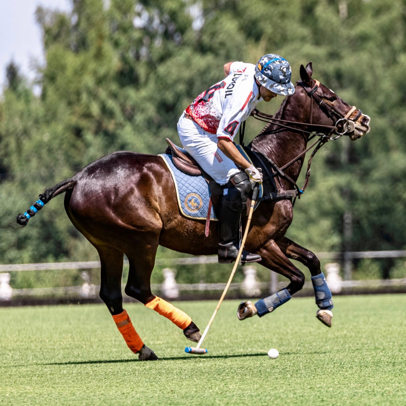 Стоимость видеосъёмки и монтажа. Mrs.Aquarelia Конный фотограф Марианна Леонтьева