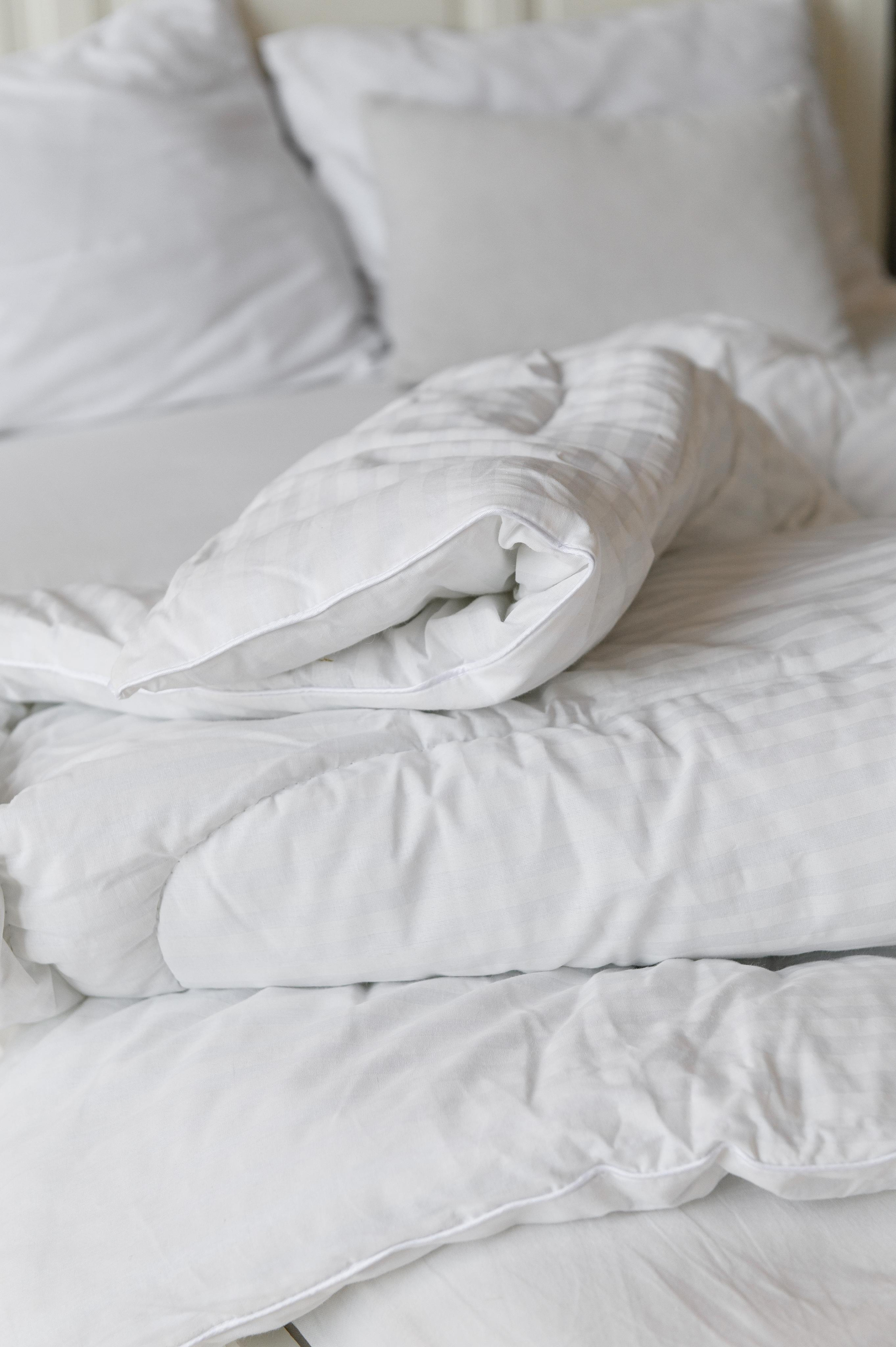 Услуги и цены. Главная