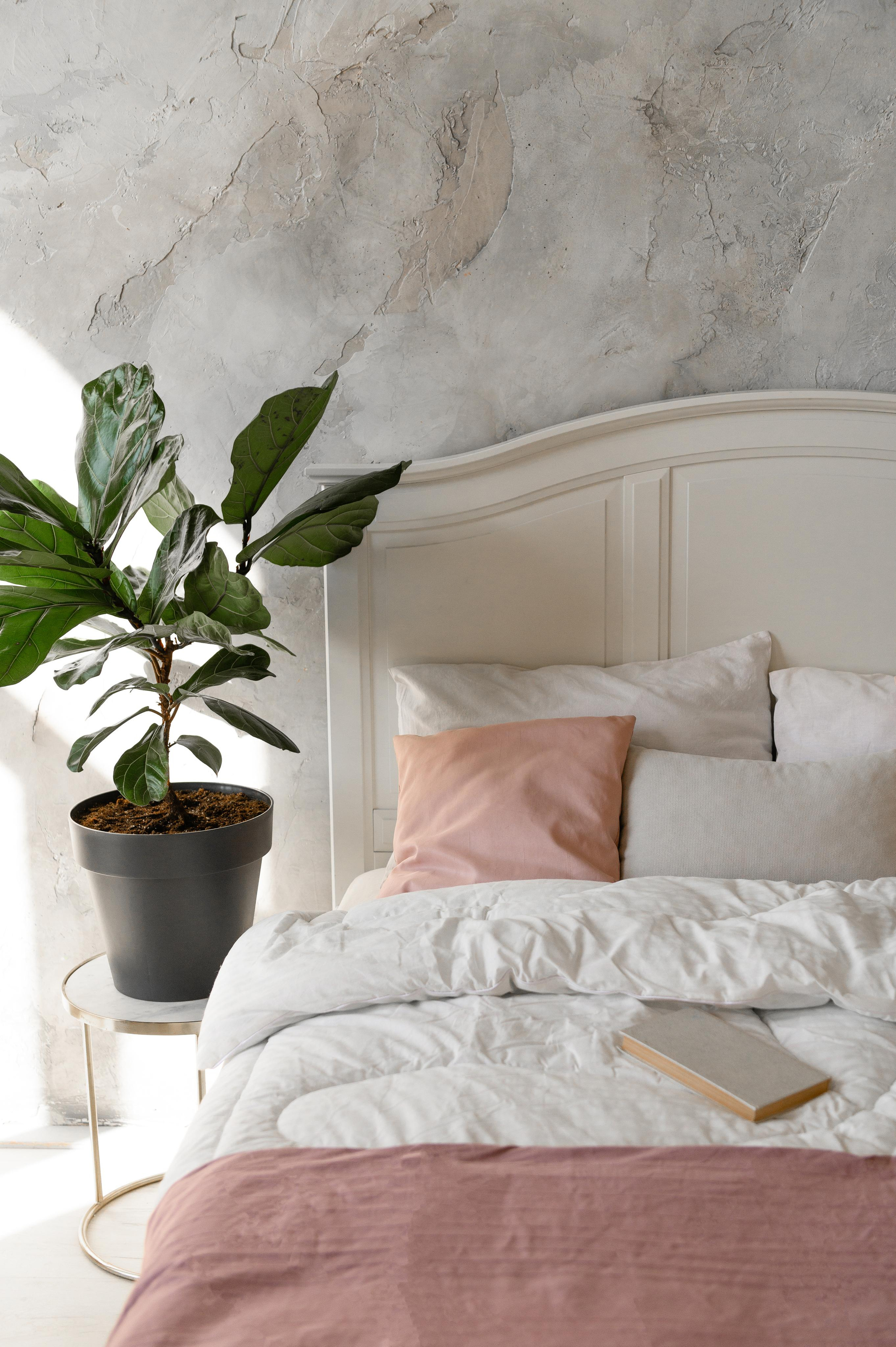 Услуги и цены. Главная