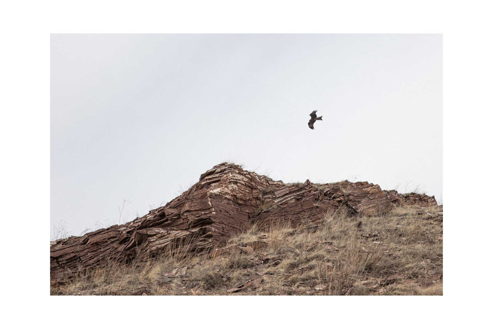 Купить фотографии. Yulia Nevskaya, documentary photographer and photojournalist