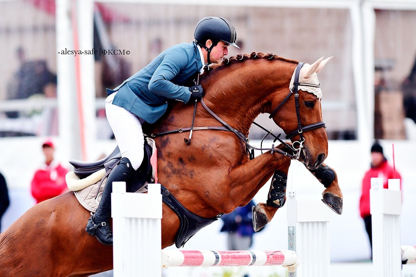 Репортажи. Конный фотограф Alesya Safe