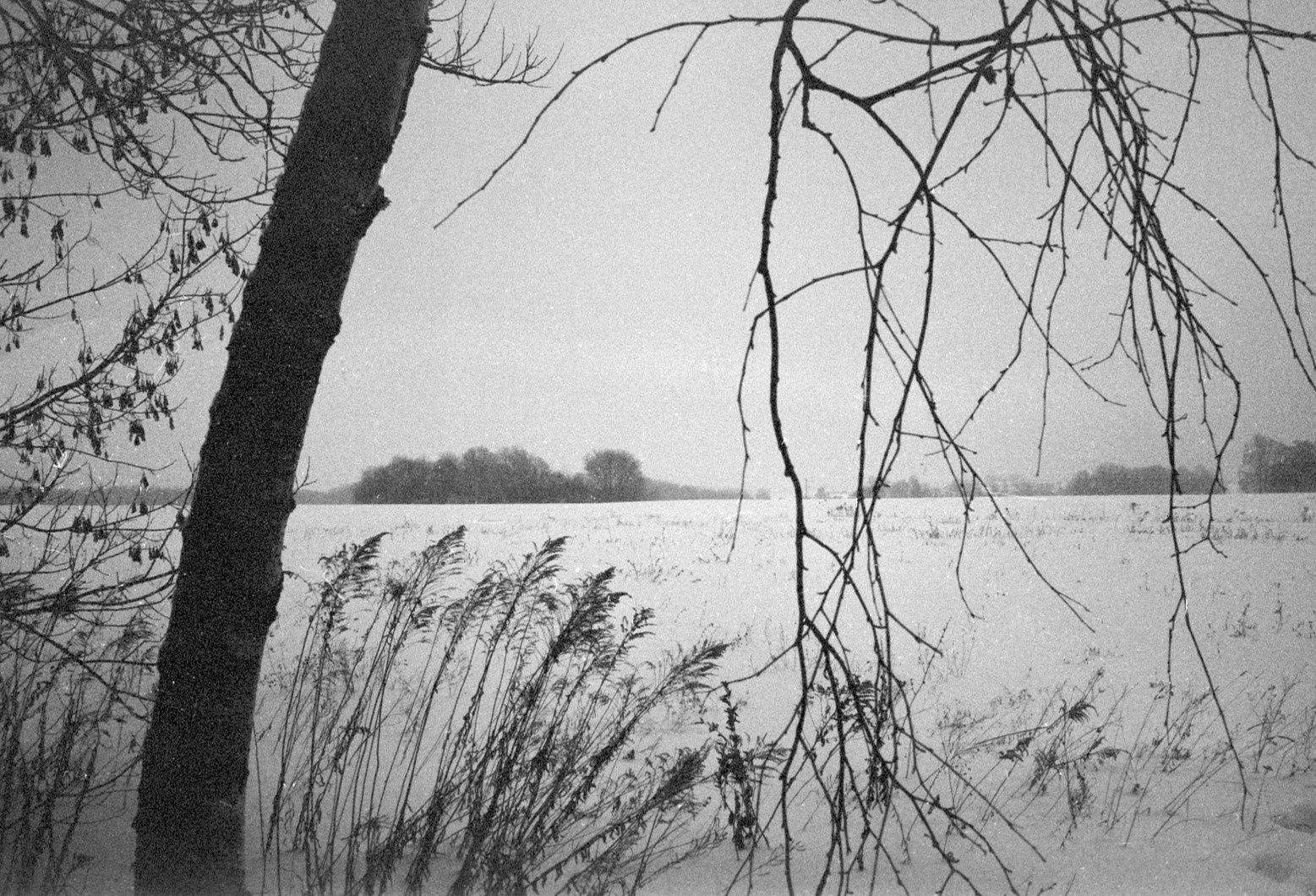 Зима муми-троллей. Artkapella|Олег Кузнецов