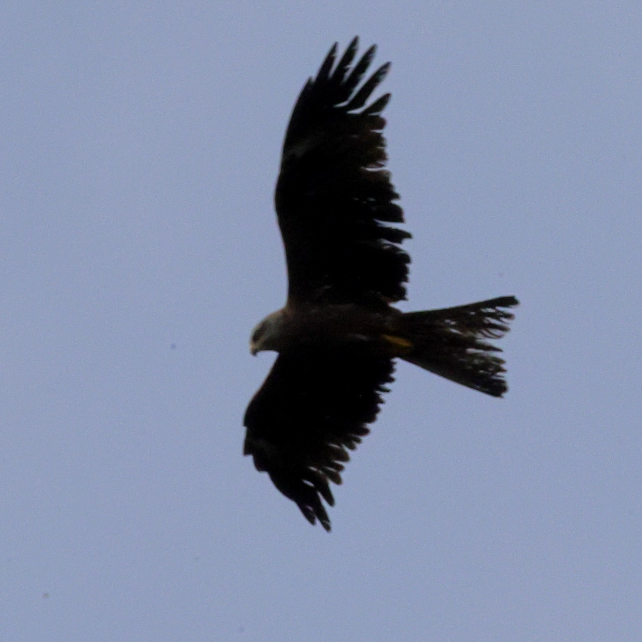 Выходные 7–8 июня