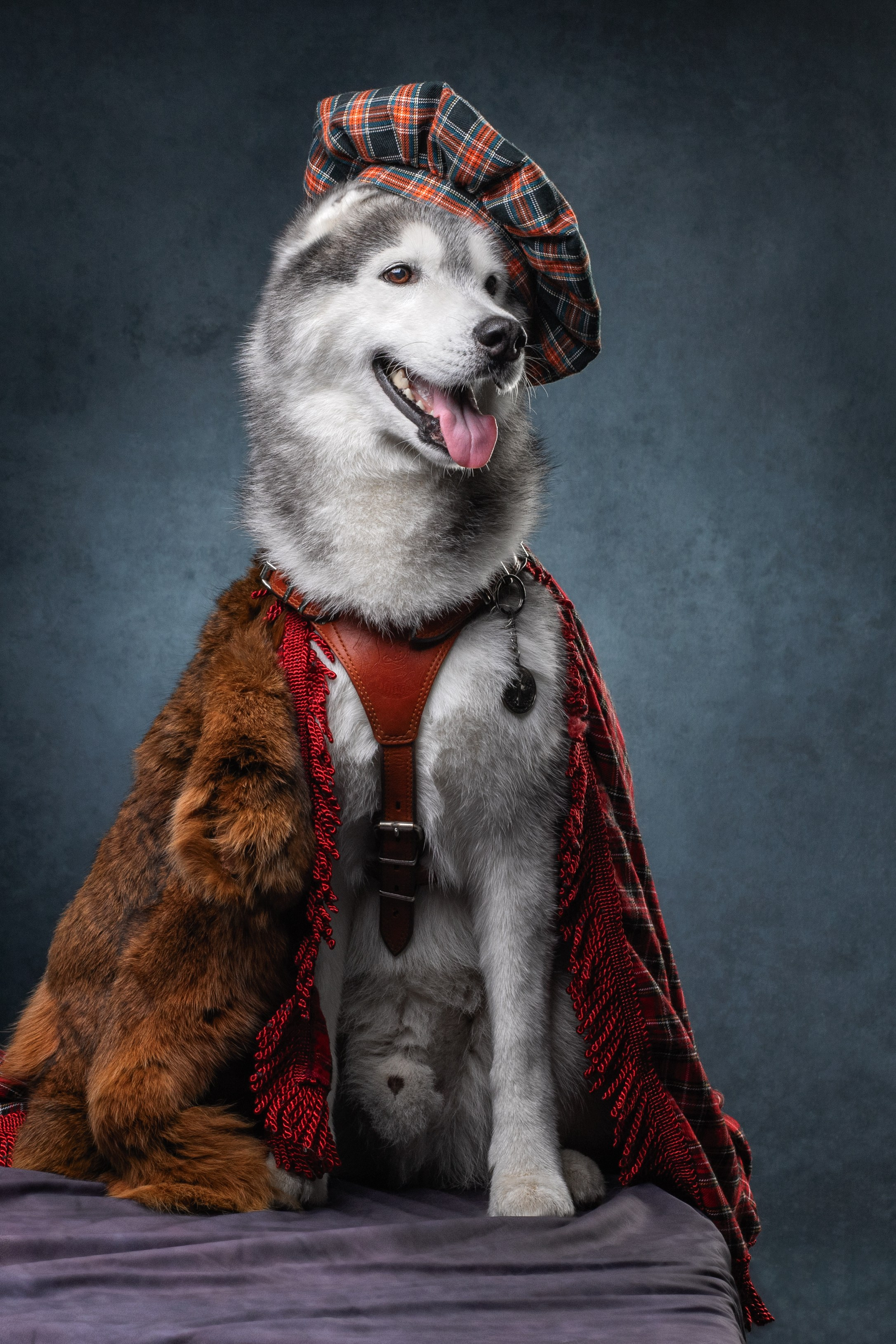 Мои достижения. Фотограф-анималист Юлия Зубкова