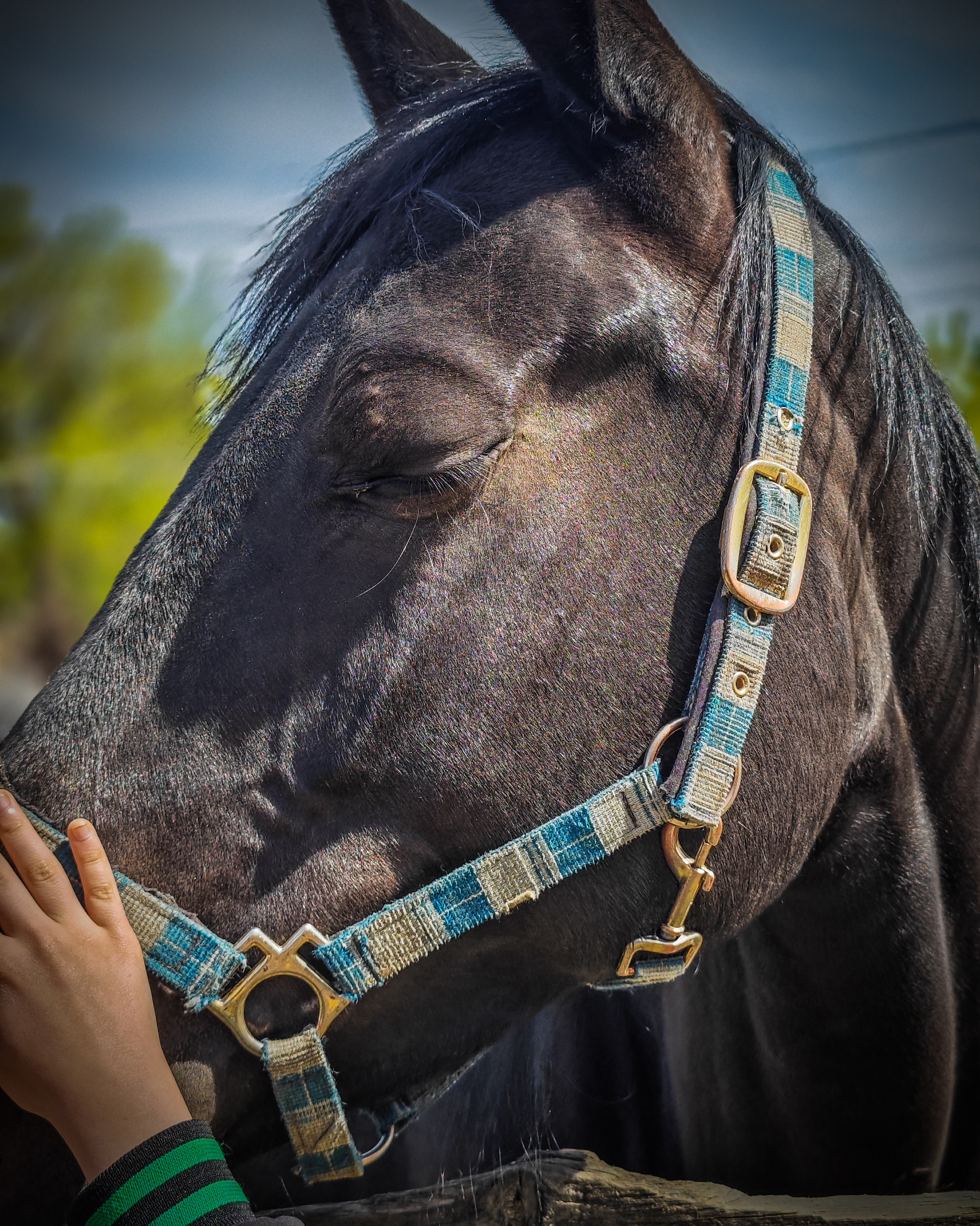 Игорь Урывский. Фотограф Красноярск