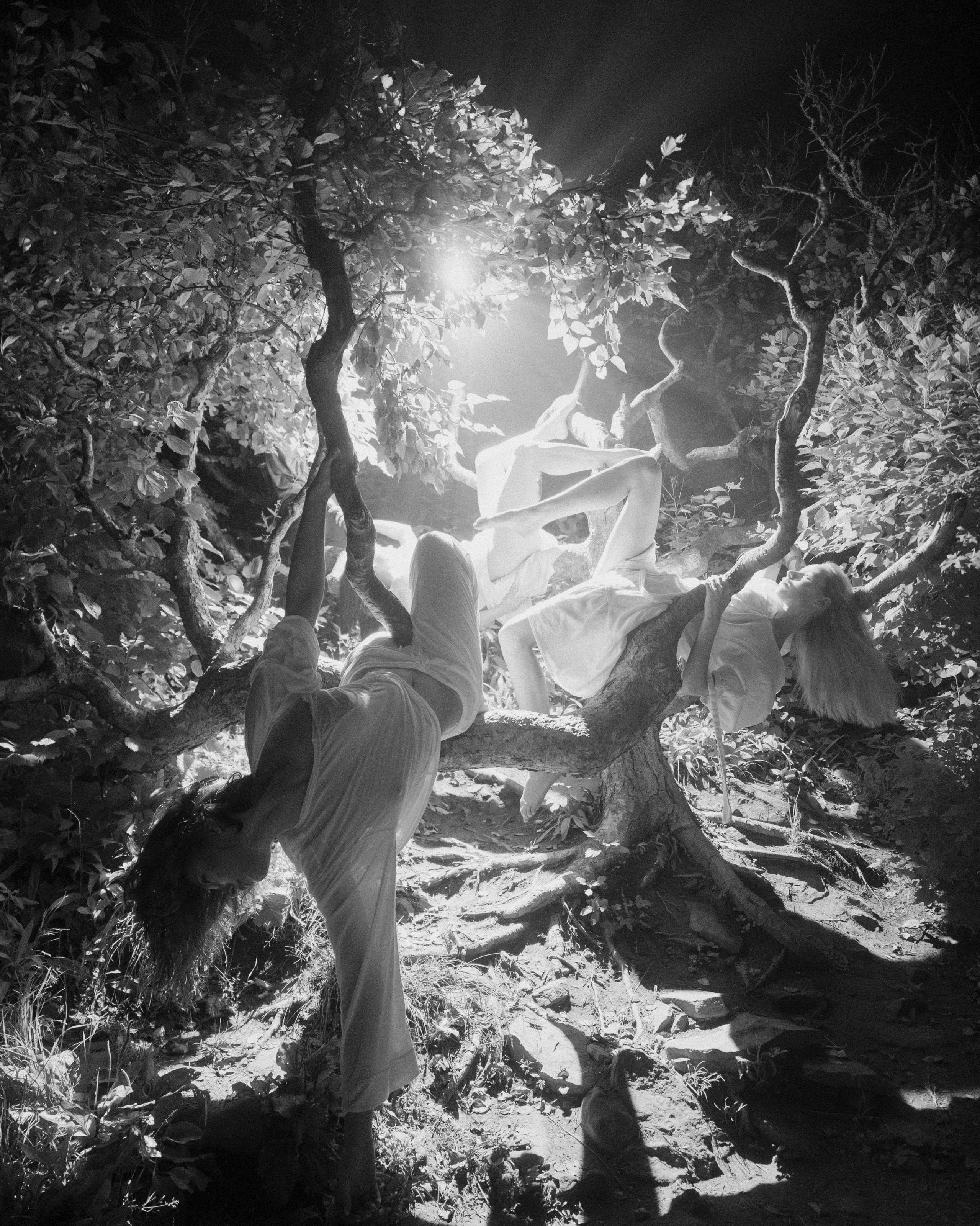 Магазин принтов Максима Созданова. Созданов Максим фотограф во Владивостоке