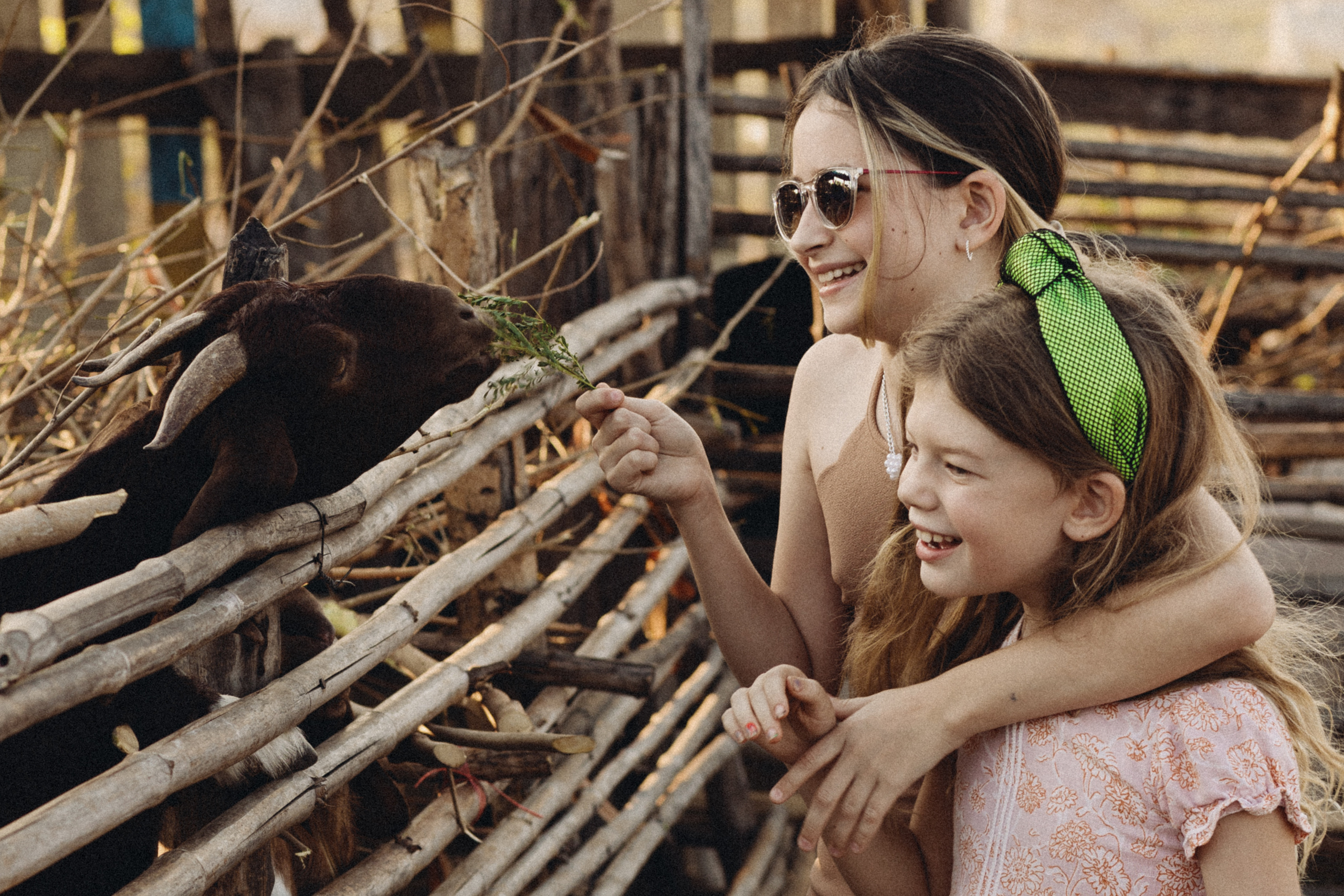 Южное солнце. Фотограф Макс Ветошкин 📷