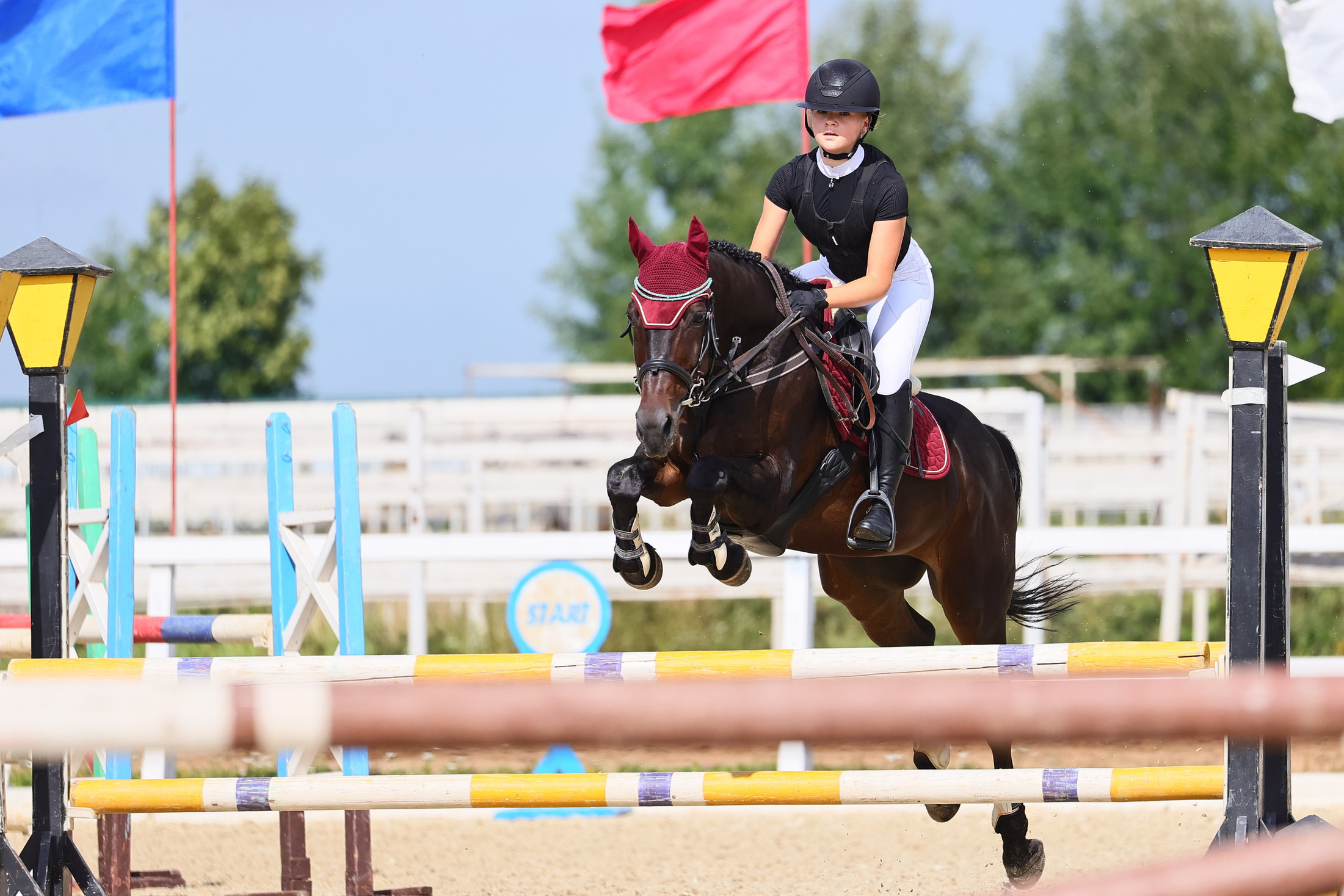 Купить фотографии с турниров. KatymartArt — Equine photography