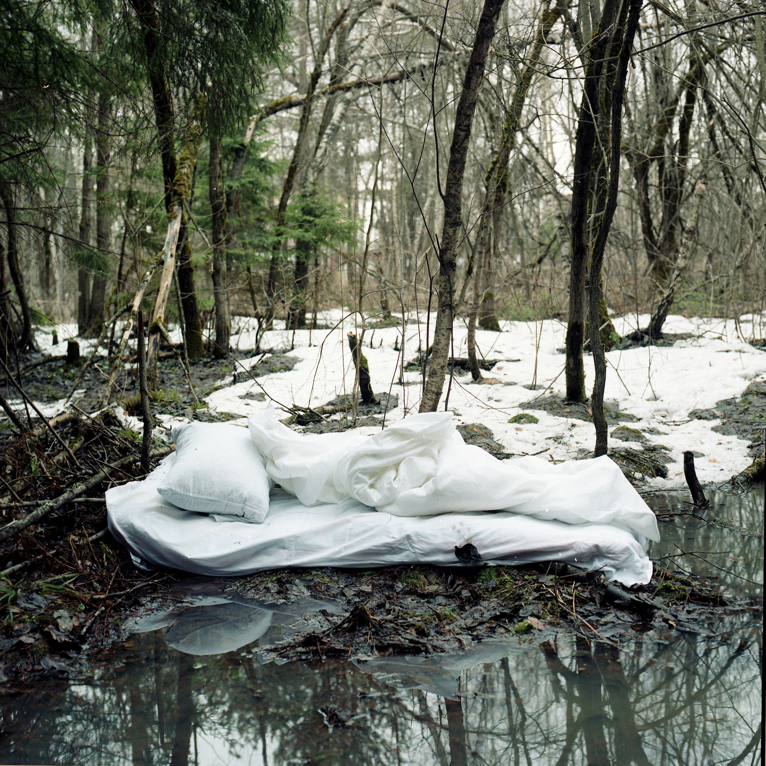 Alyona Kondyurina visual artist