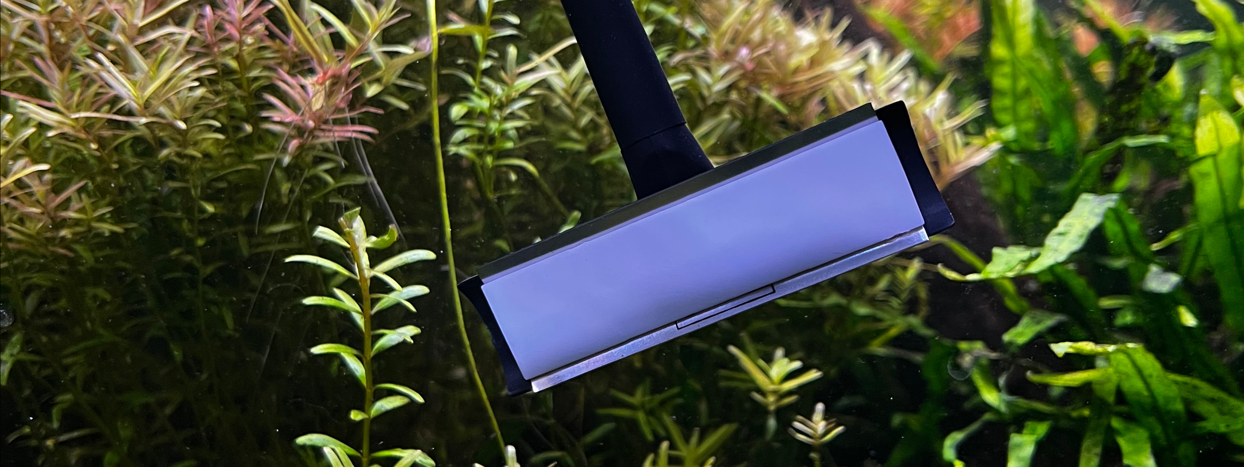 Обслуживание аквариумов. Аквариумист Максим Ерёмин. Aqua Maxim