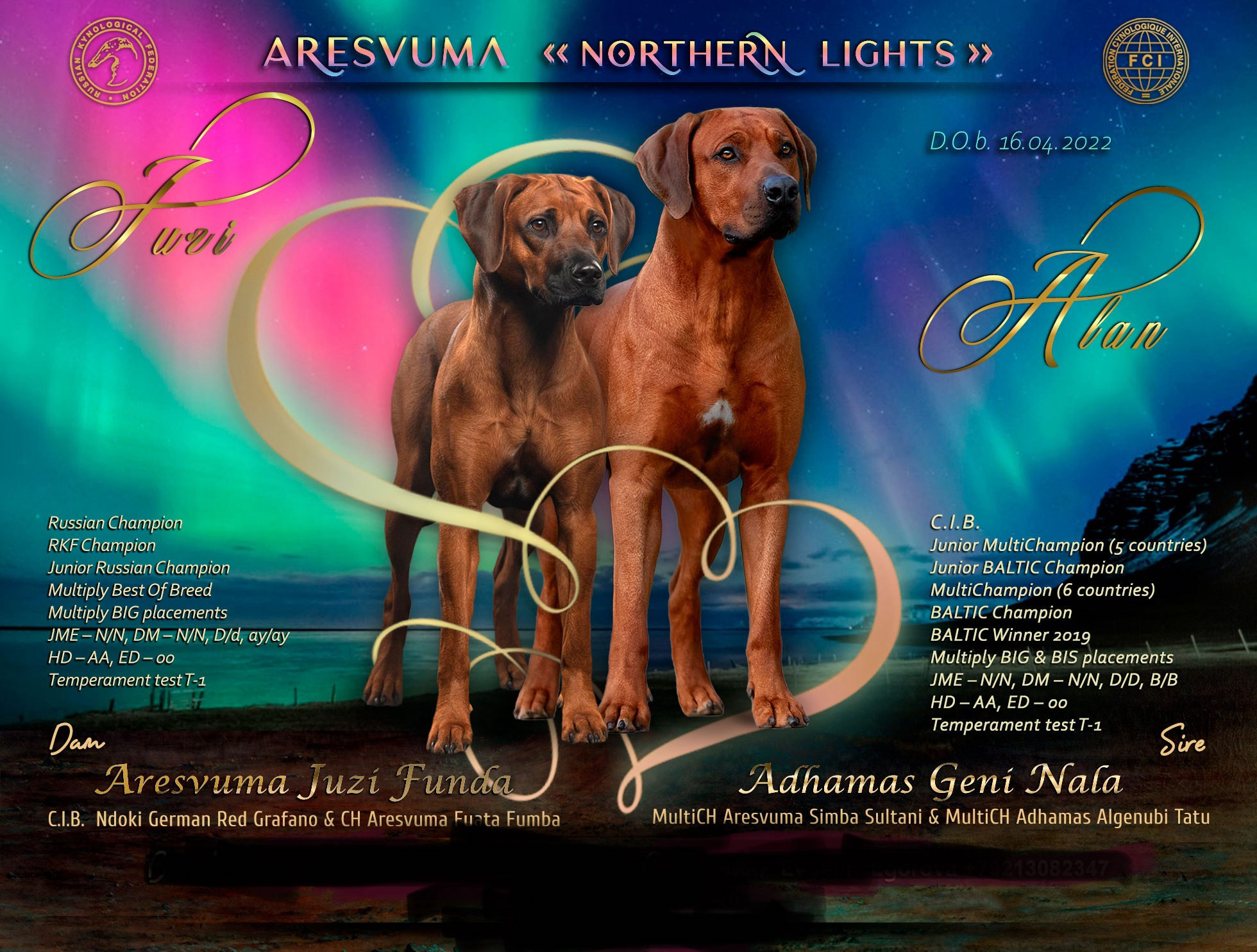 Наши щенки. Родезийские Риджбеки в Санкт-Петербурге