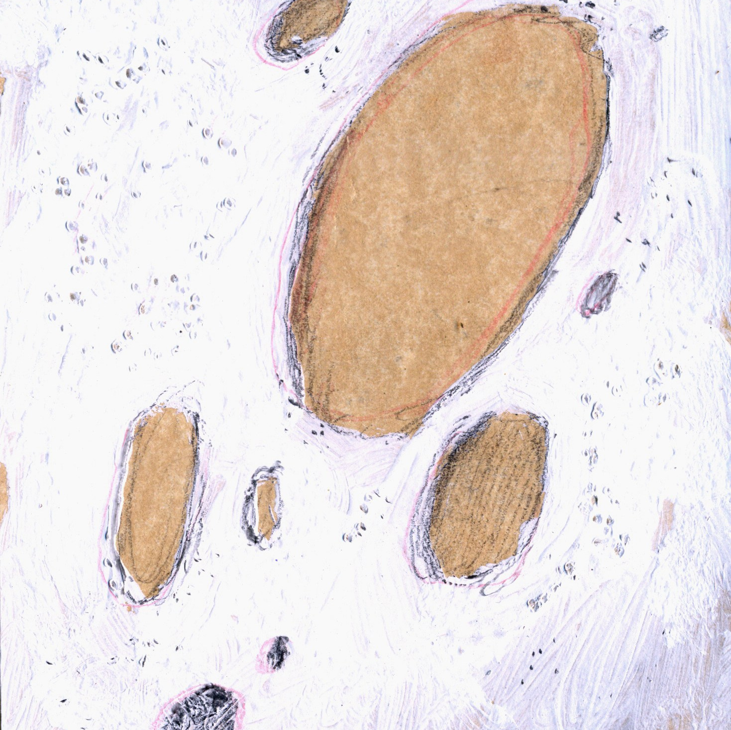 Серия Моя стареющая рожа. Художник Рыбак Николай