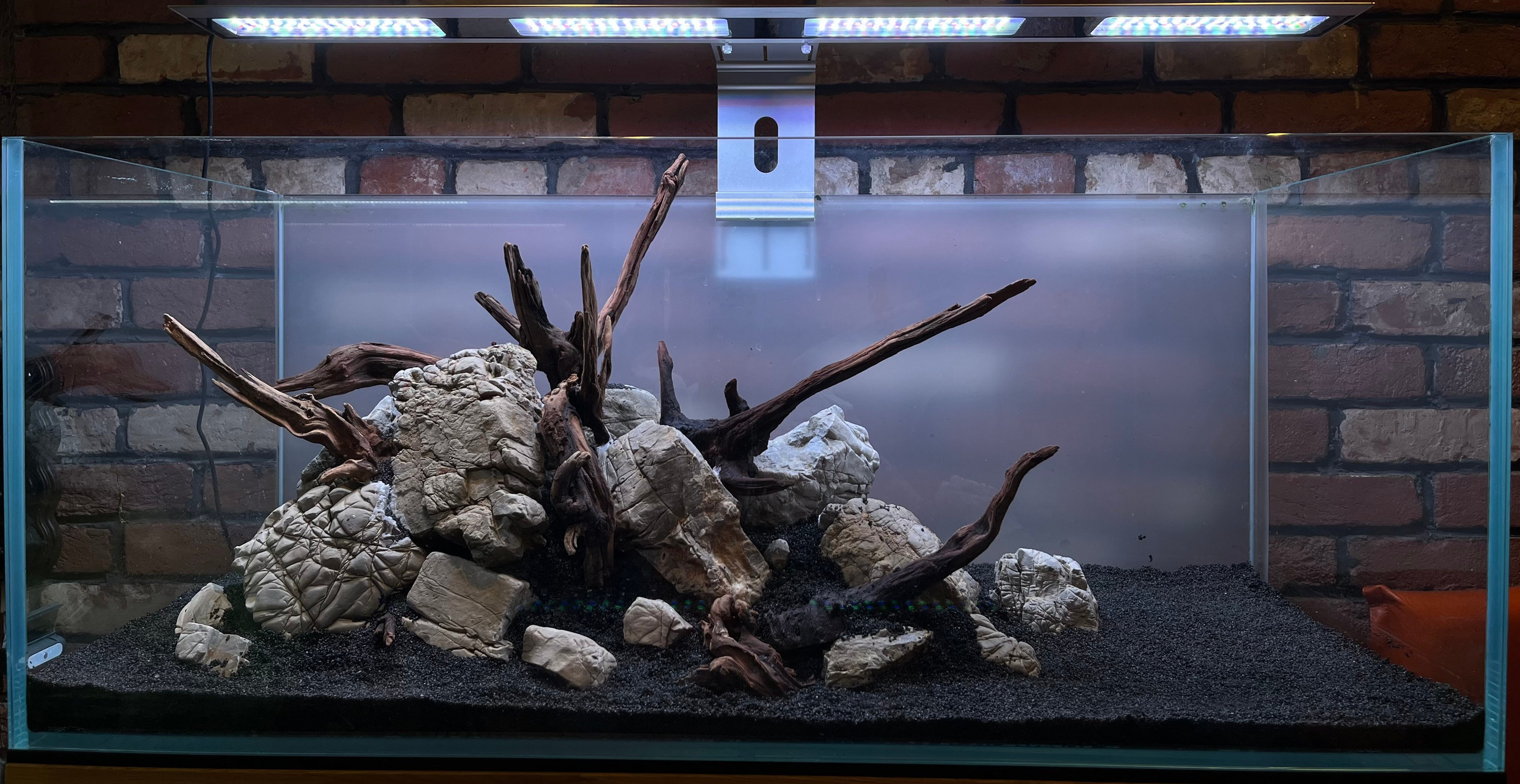 Переоформление растительного аквариума. Аквариумист Максим Ерёмин. Aqua Maxim