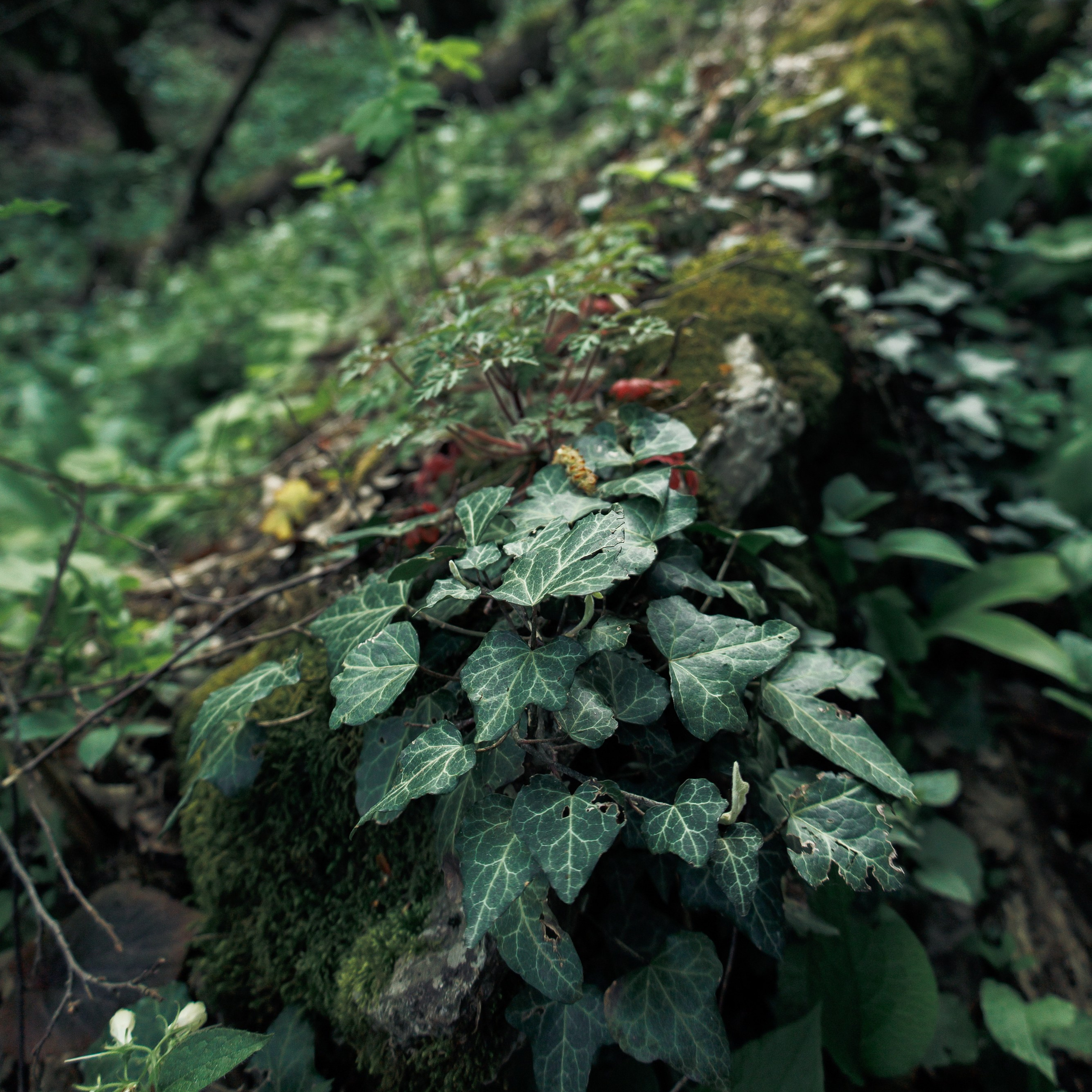 Обо мне. Фотограф katya_vkadre Таганрог