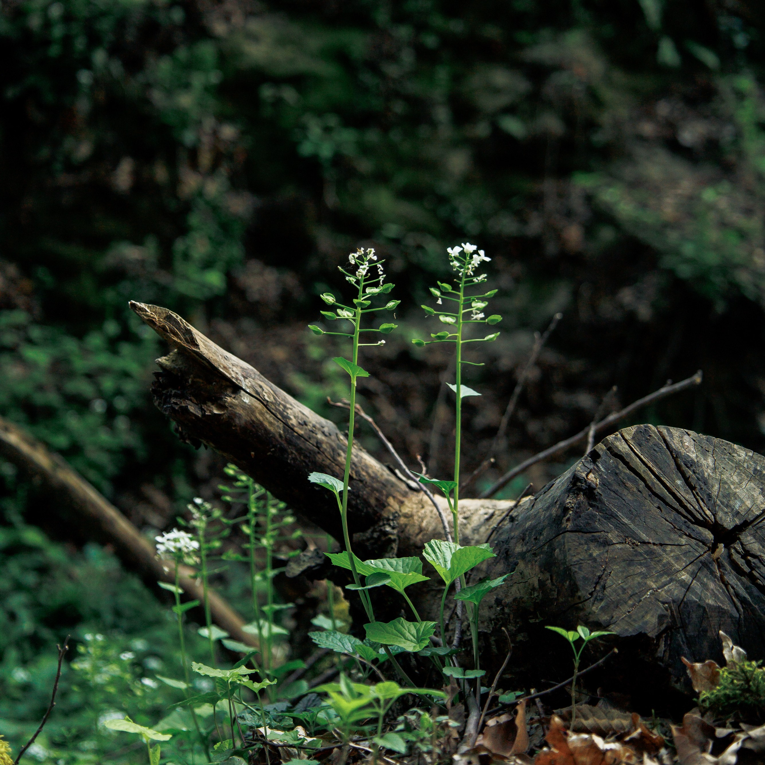 Обо мне. Фотограф katya_vkadre Таганрог