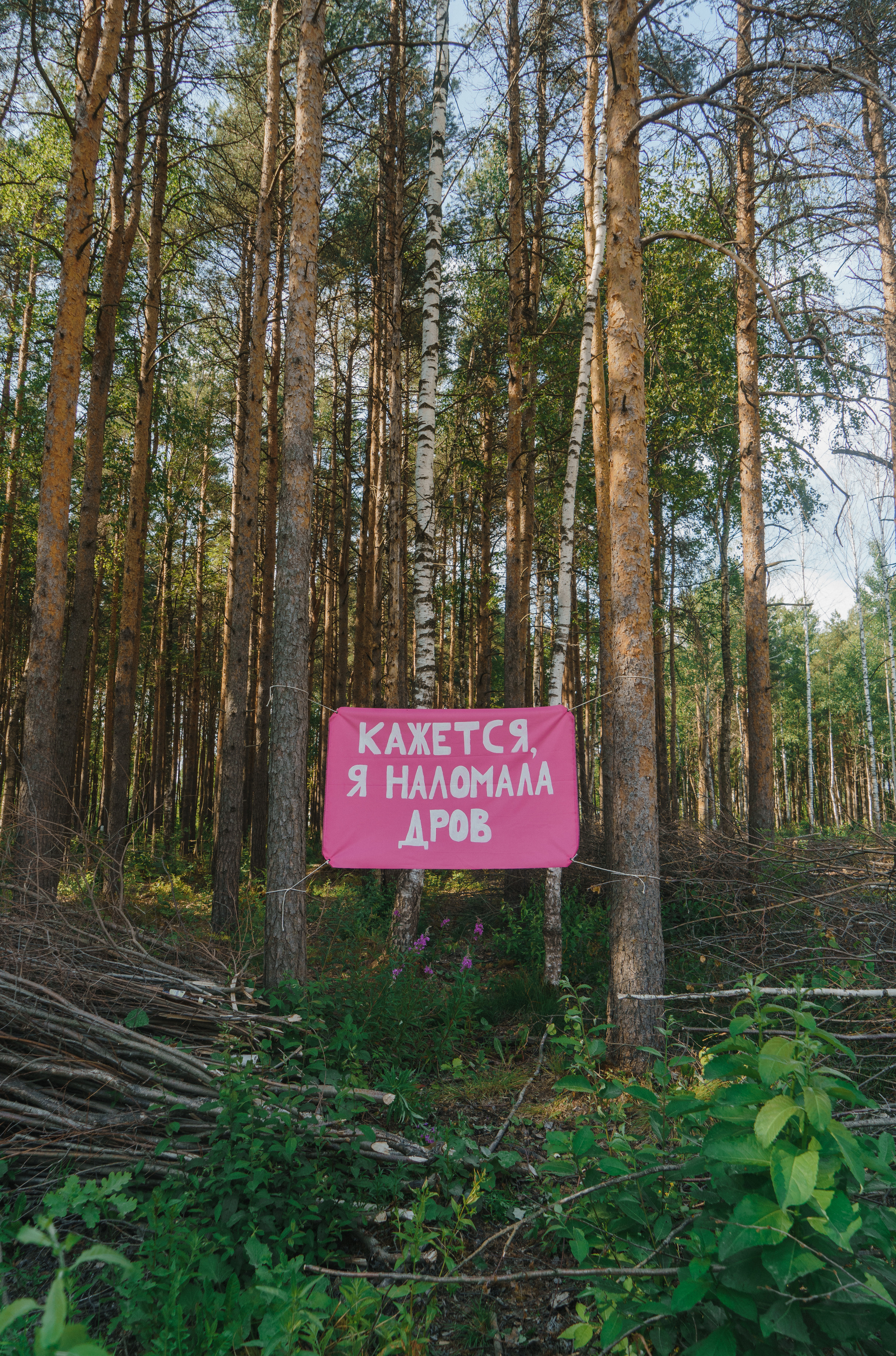 Кажется, я наломала дров. Козлова Екатерина. Междисциплинарная визуальная художница