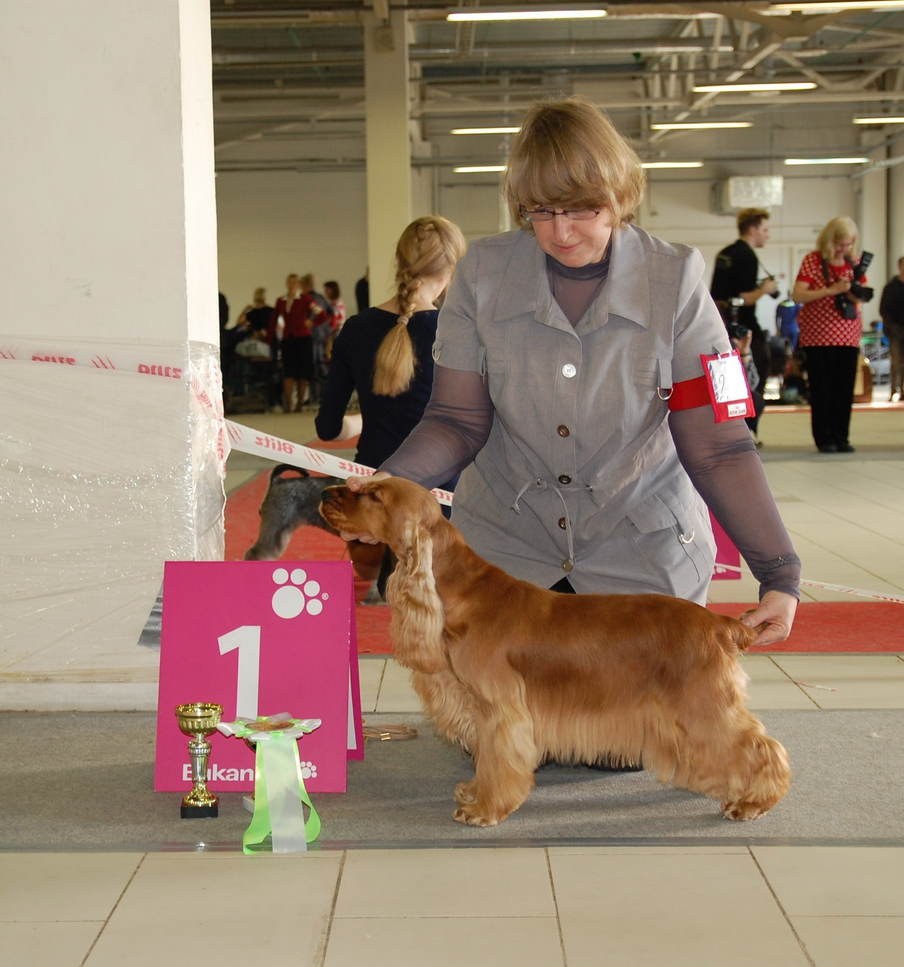 2016 г Результаты выставок. Питомник Йоркширских терьеров Дэнстайл в Санкт-Петербурге заводчик Тих