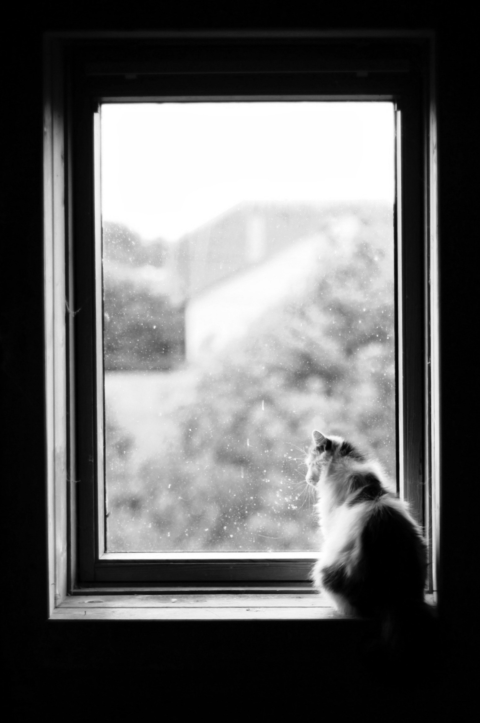 Дроздова Ирина. Организация фотовыставок в Петербурге и Москве, MFamilia (МФамилия)